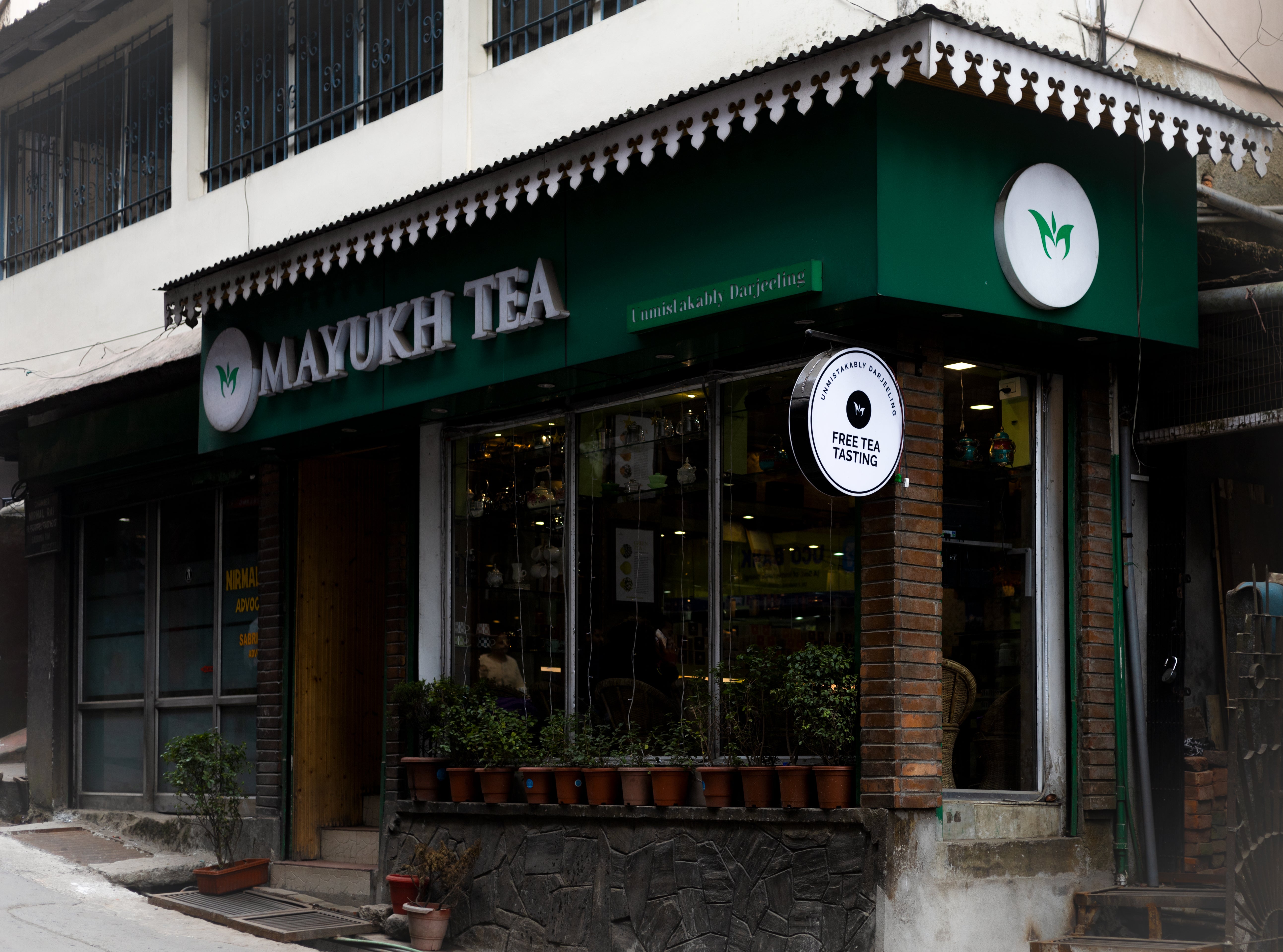 🌿 দার্জিলিং চায়ের শ্রেষ্ঠ ঠিকানা – মায়ূখ টি