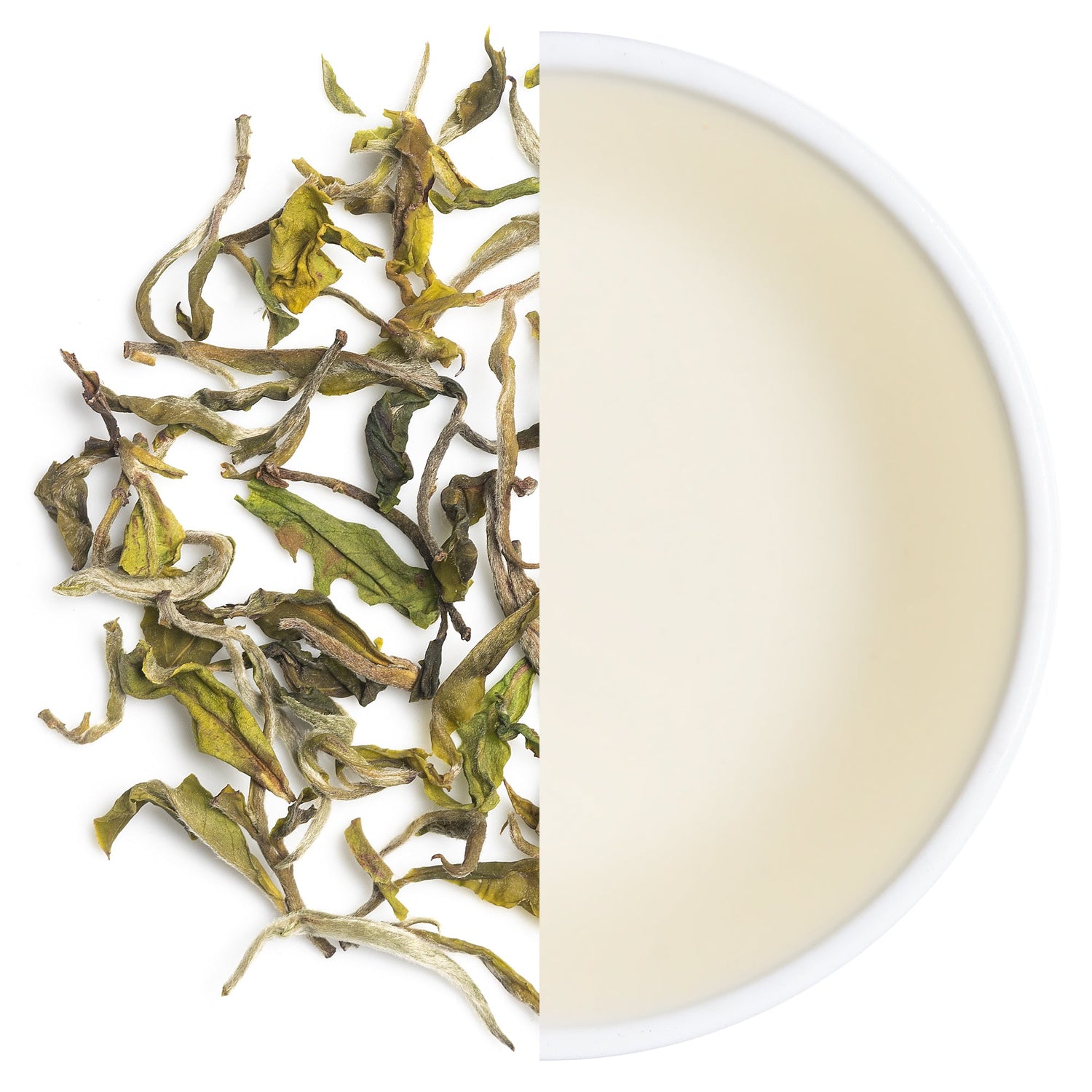 Arya Tea Estate - Mayukh