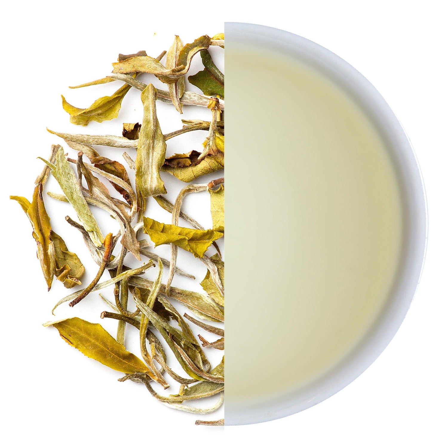 White Tea - Mayukh