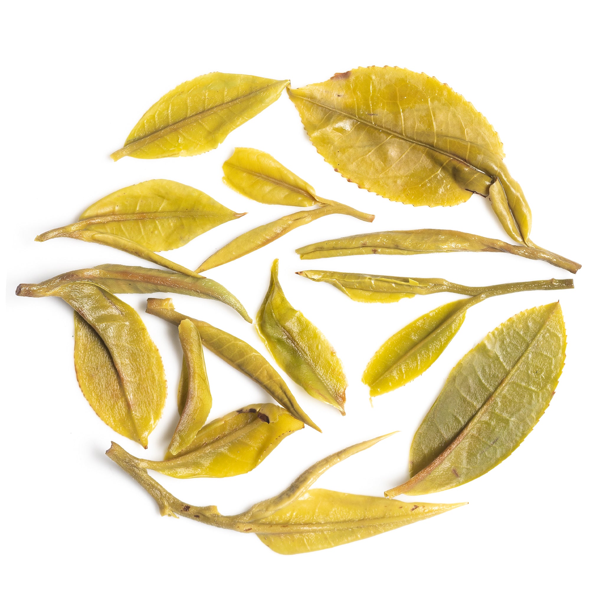 Arya Diamond First Flush Darjeeling Black Tea EX-31 /2026