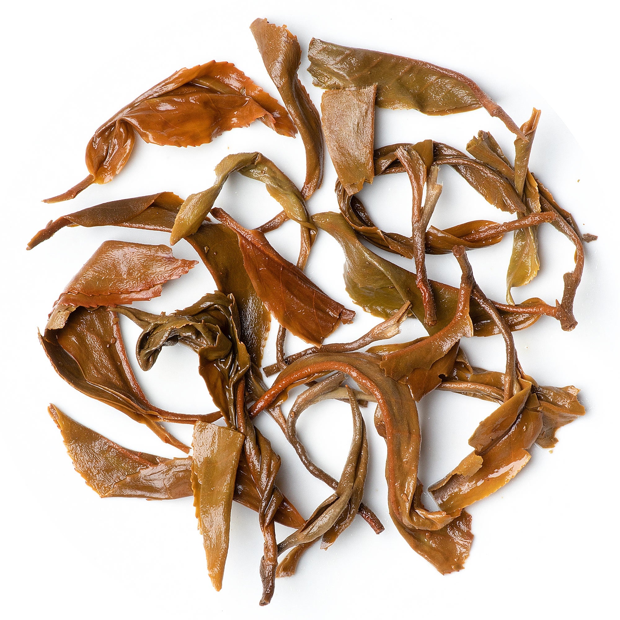 Autumn flush Glenburn oolong tea with mellow fruity notes