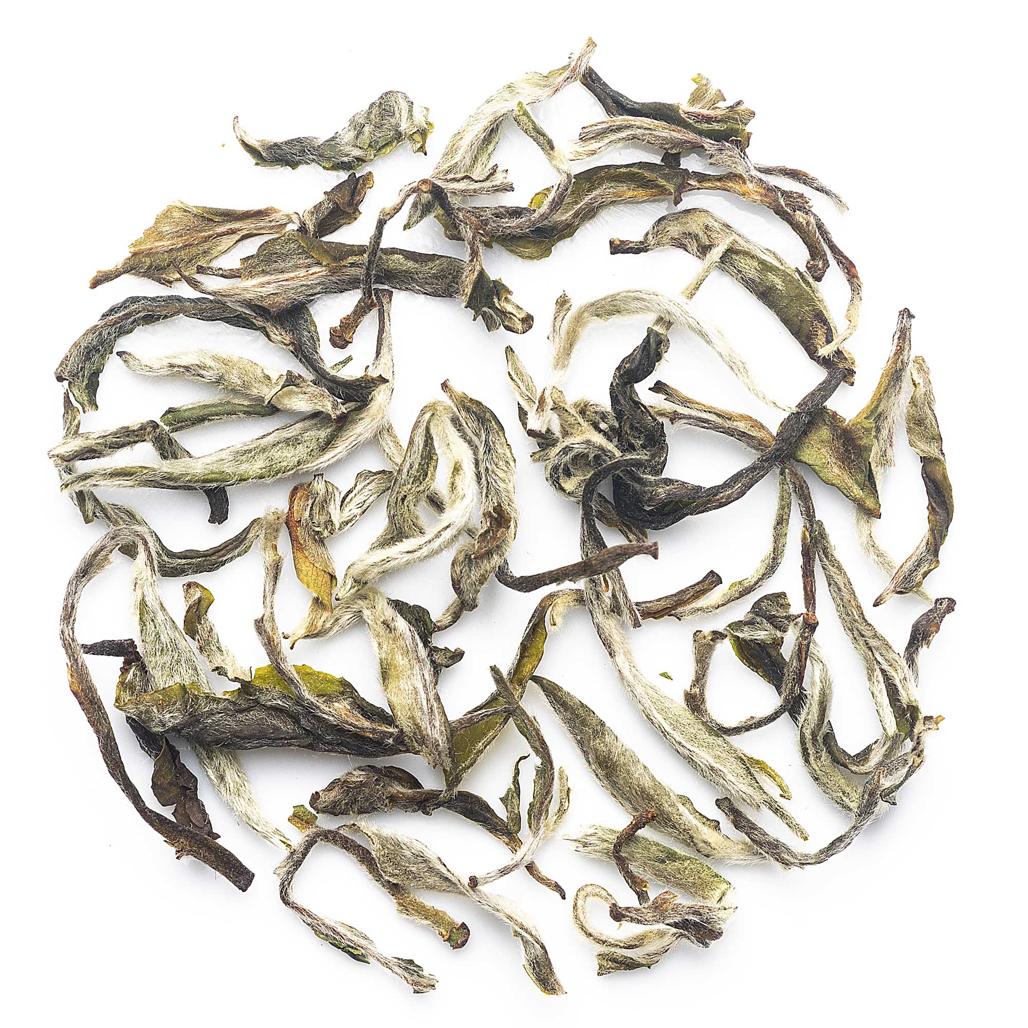 Badamtam First Flush Darjeeling Tea 2026 - 50 gm (Limited Edition)