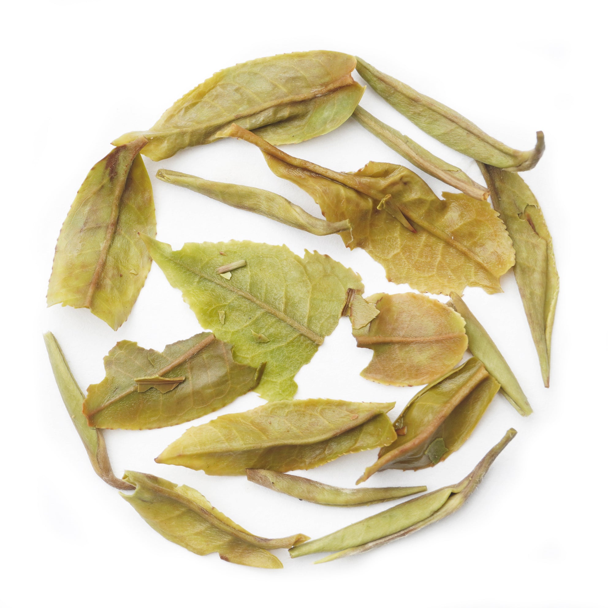 Darjeeling Giddapahar China Delight First Flush black tea, premium long leaves, smooth and fragrant, ideal for tea enthusiasts