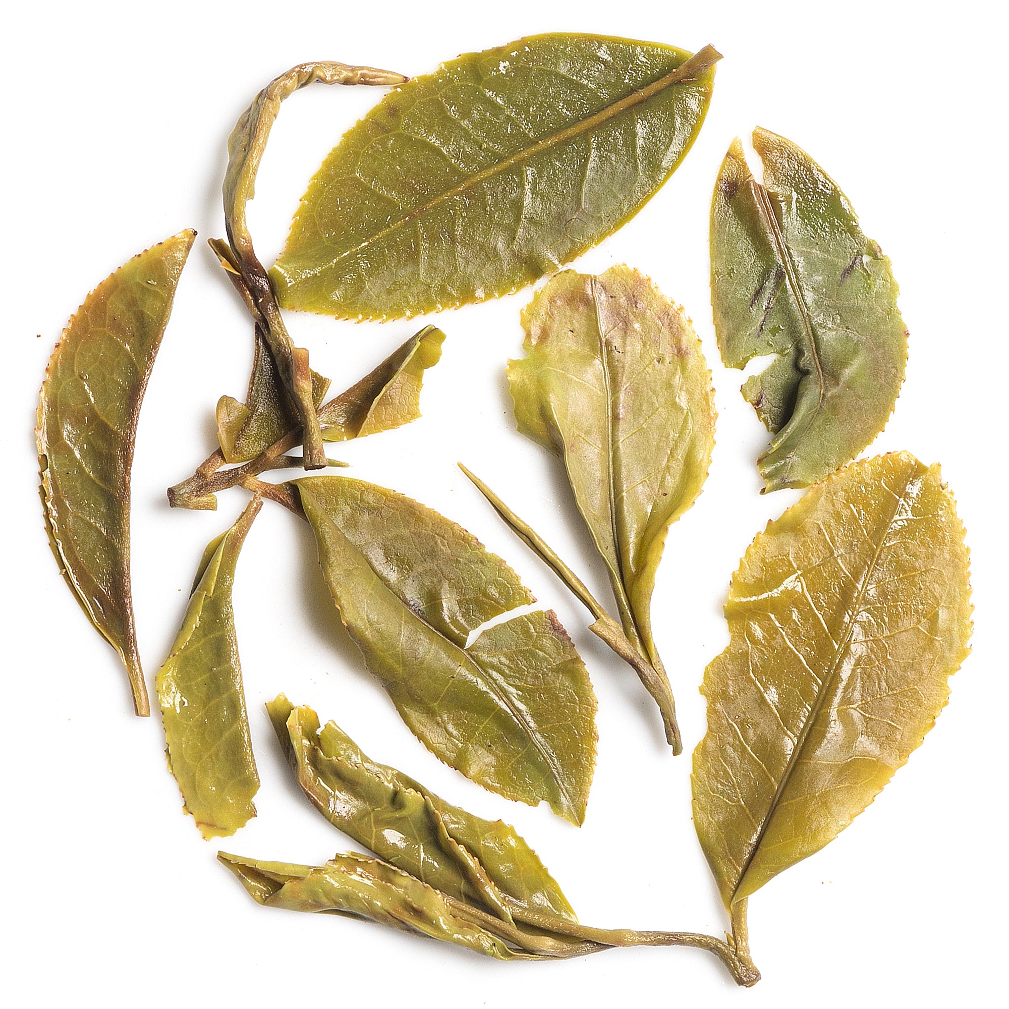 Giddapahar First Flush Darjeeling Black Tea EXN-2 /2026