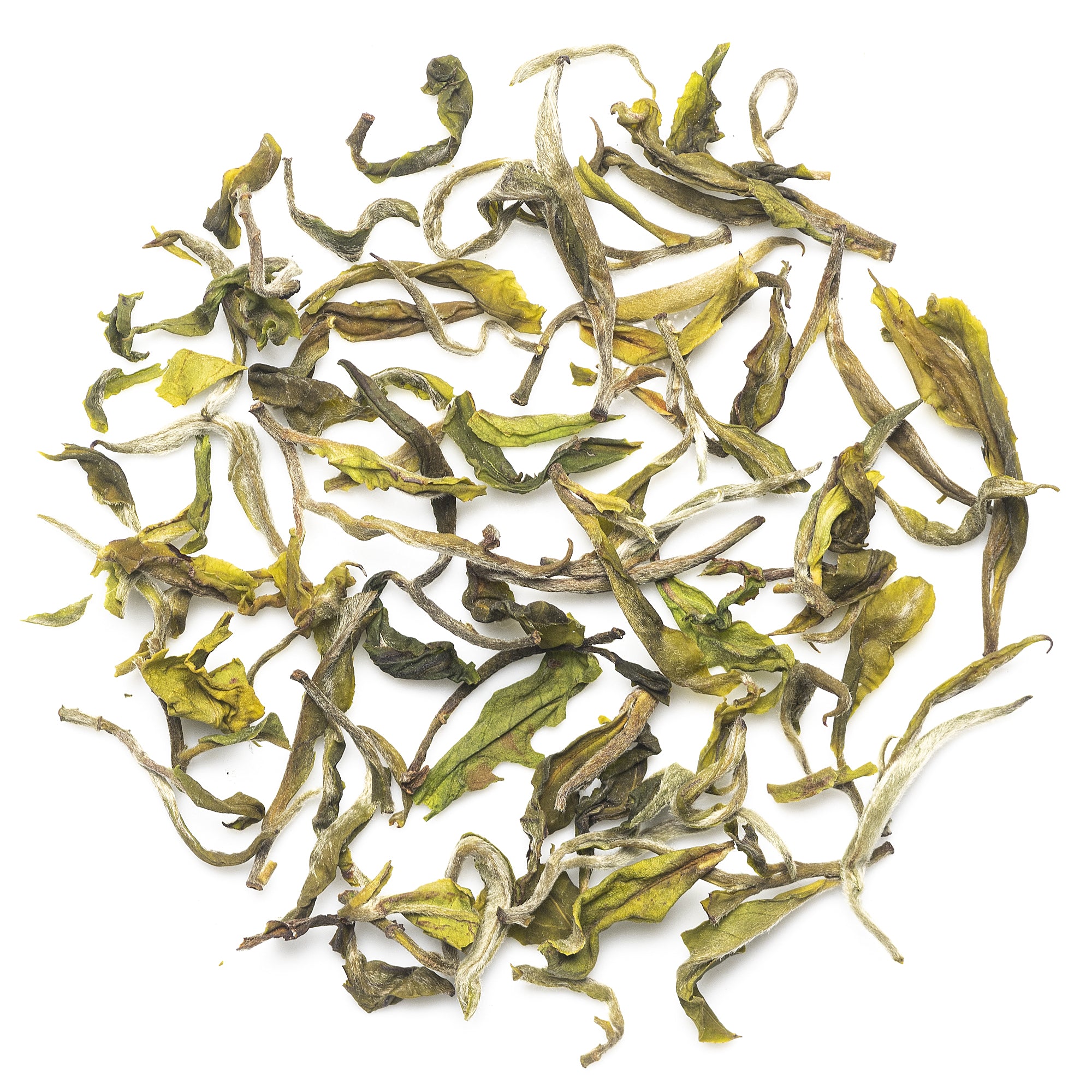 Mim First Flush Darjeeling Black Tea 2026 | New Arrival | 50g