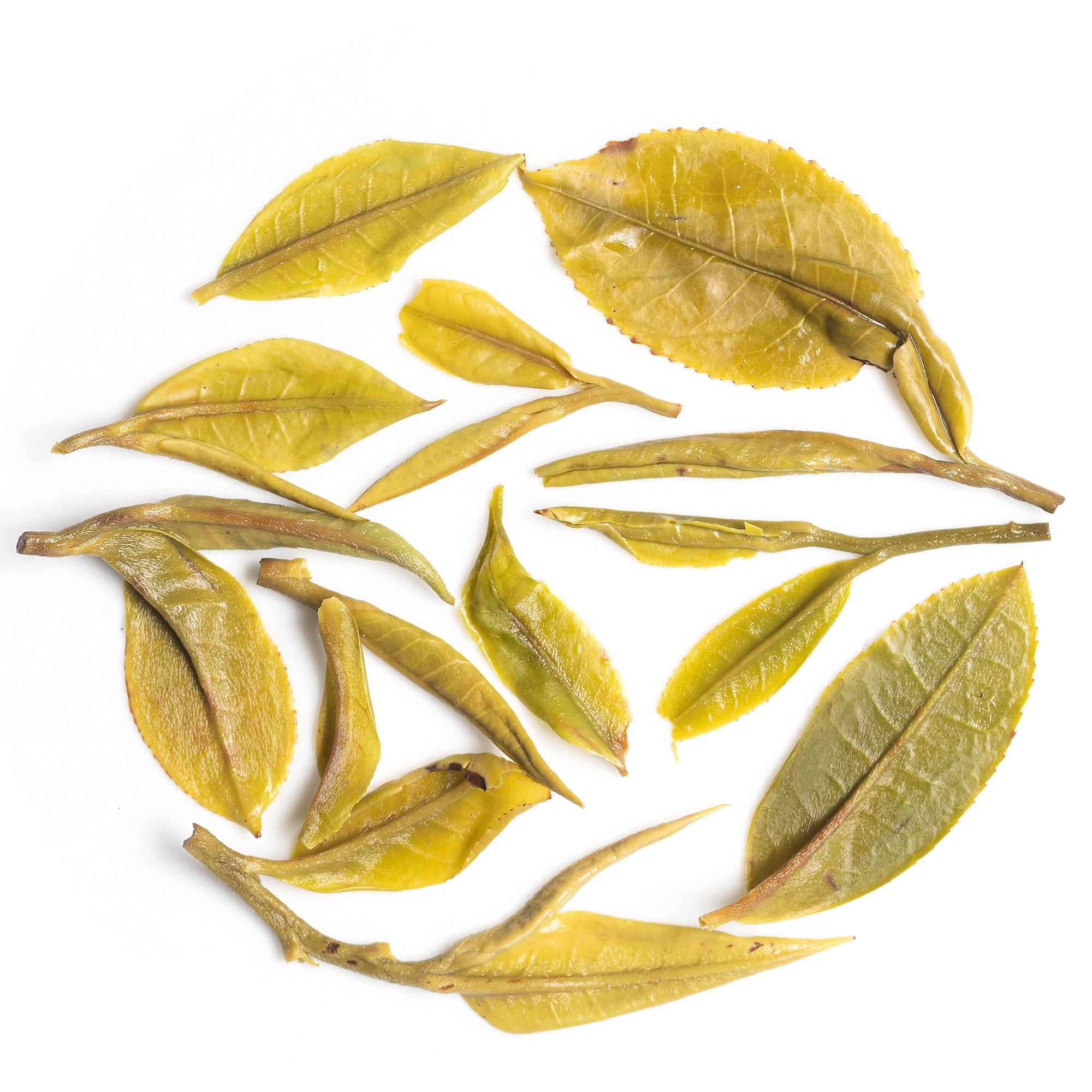 Mim First Flush Darjeeling Black Tea 2026 | New Arrival | 50g