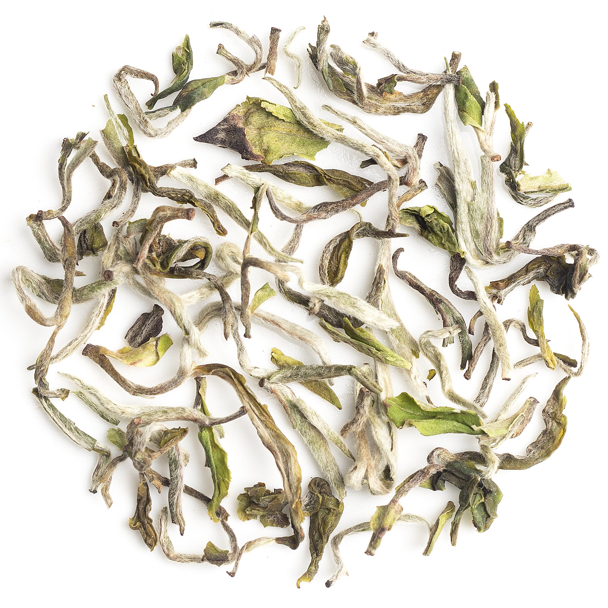 loose leaves of Samabeong Spring Blossom First Flush Darjeeling Black Tea 2025, showcasing quality