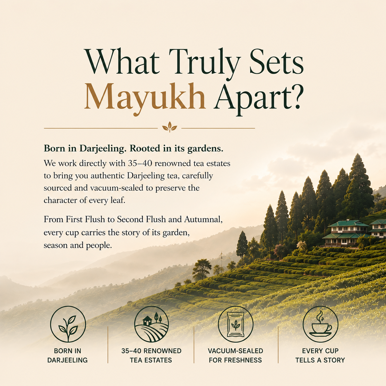 What truly sets mayukh apart