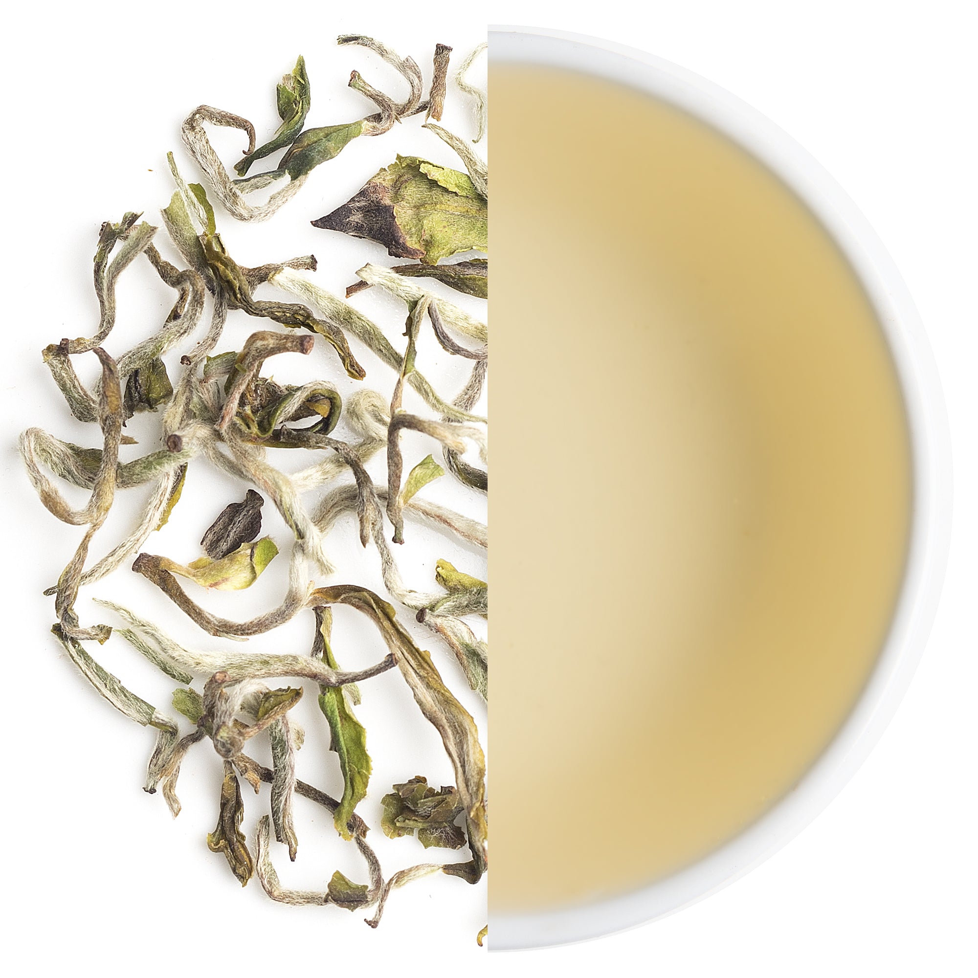 Samabeong Spring Blossom First Flush Darjeeling Black Tea 2025 in premium packaging, hand-picked leaves