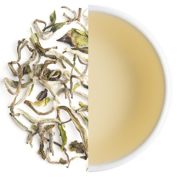 Samabeong Spring Blossom First Flush Darjeeling Black Tea 2025 in premium packaging, hand-picked leaves