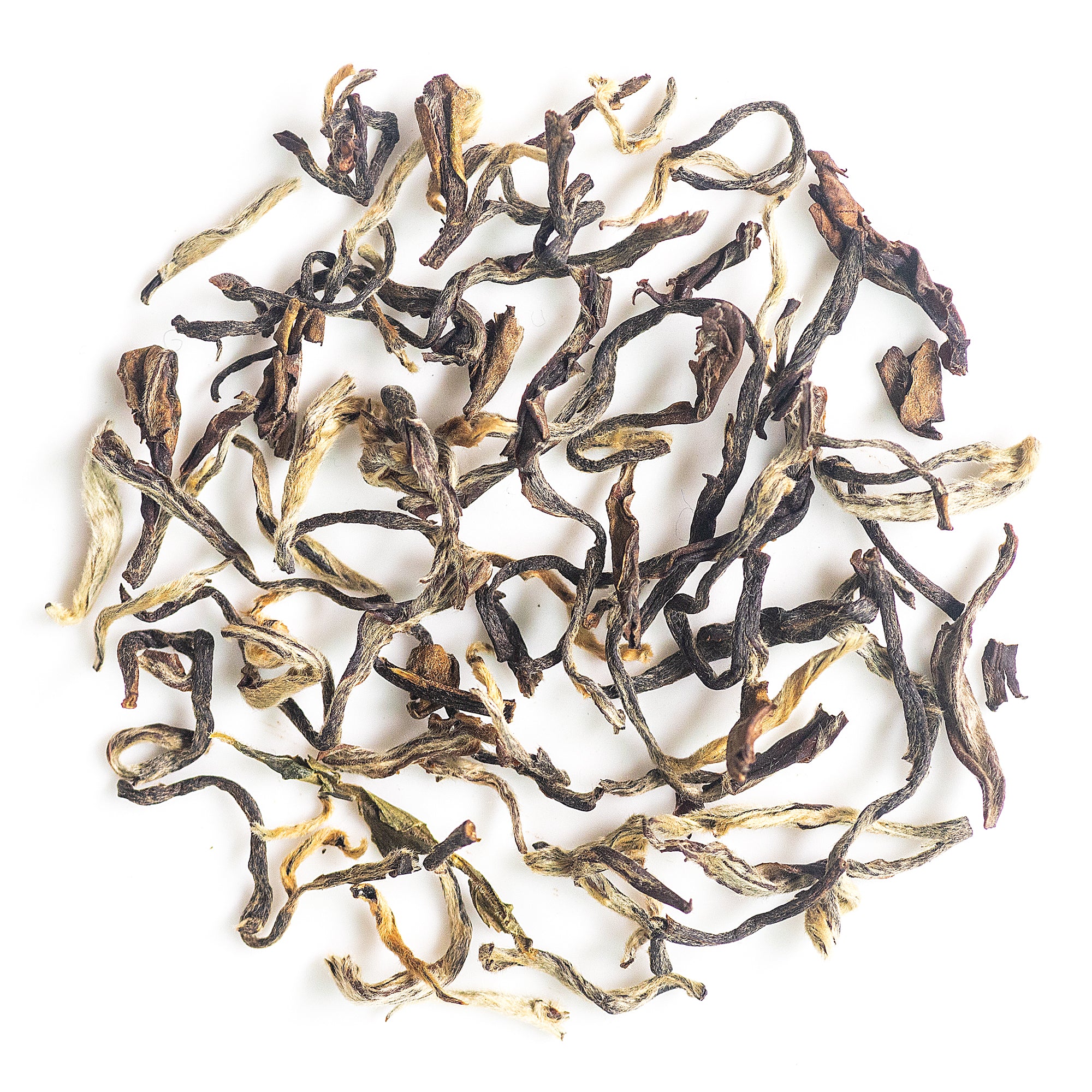 Second flush tea from Arya Tea Estate known for muscatel character