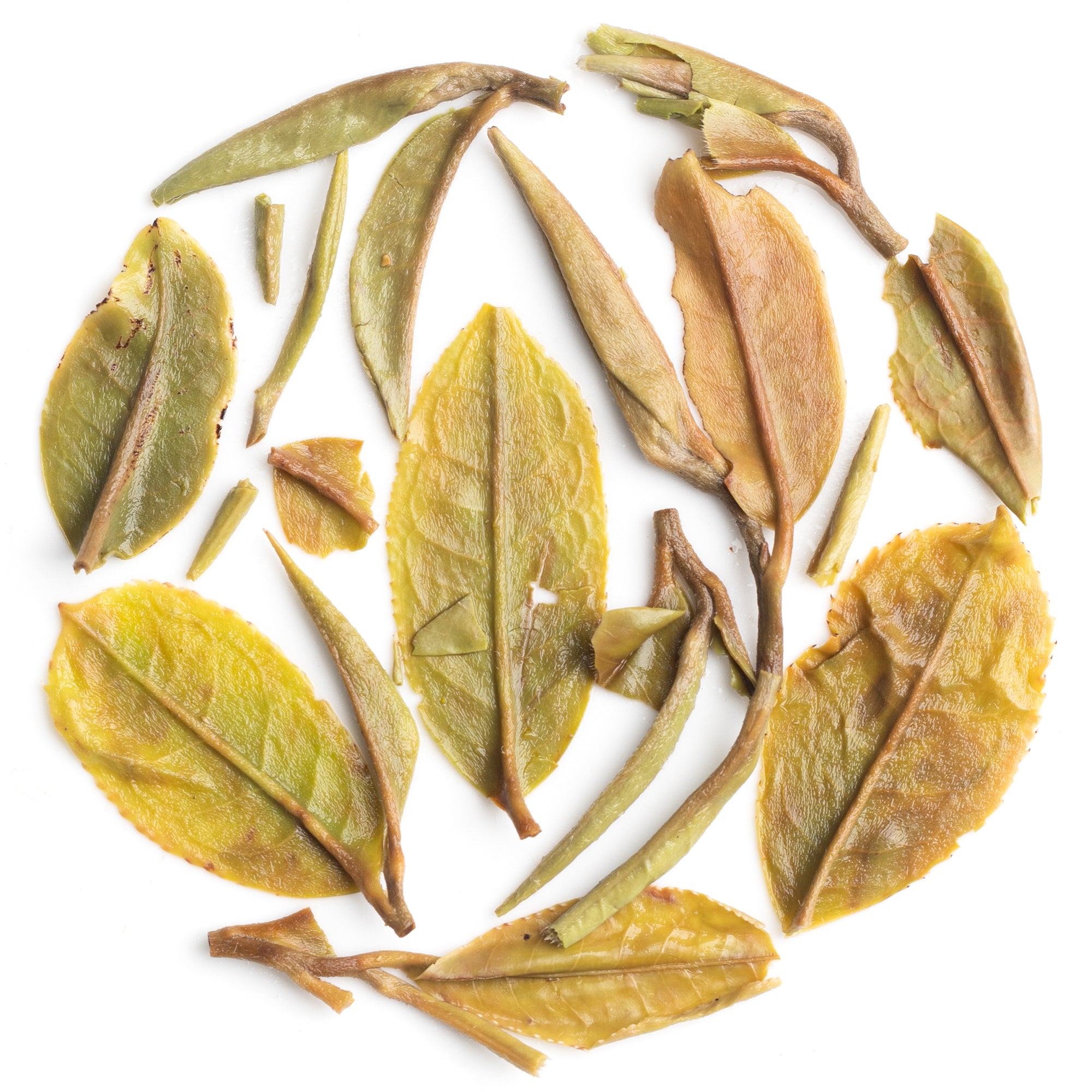 Premium Arya Diamond First Flush Darjeeling black tea 2025 displayed to highlight first‑flush heritage