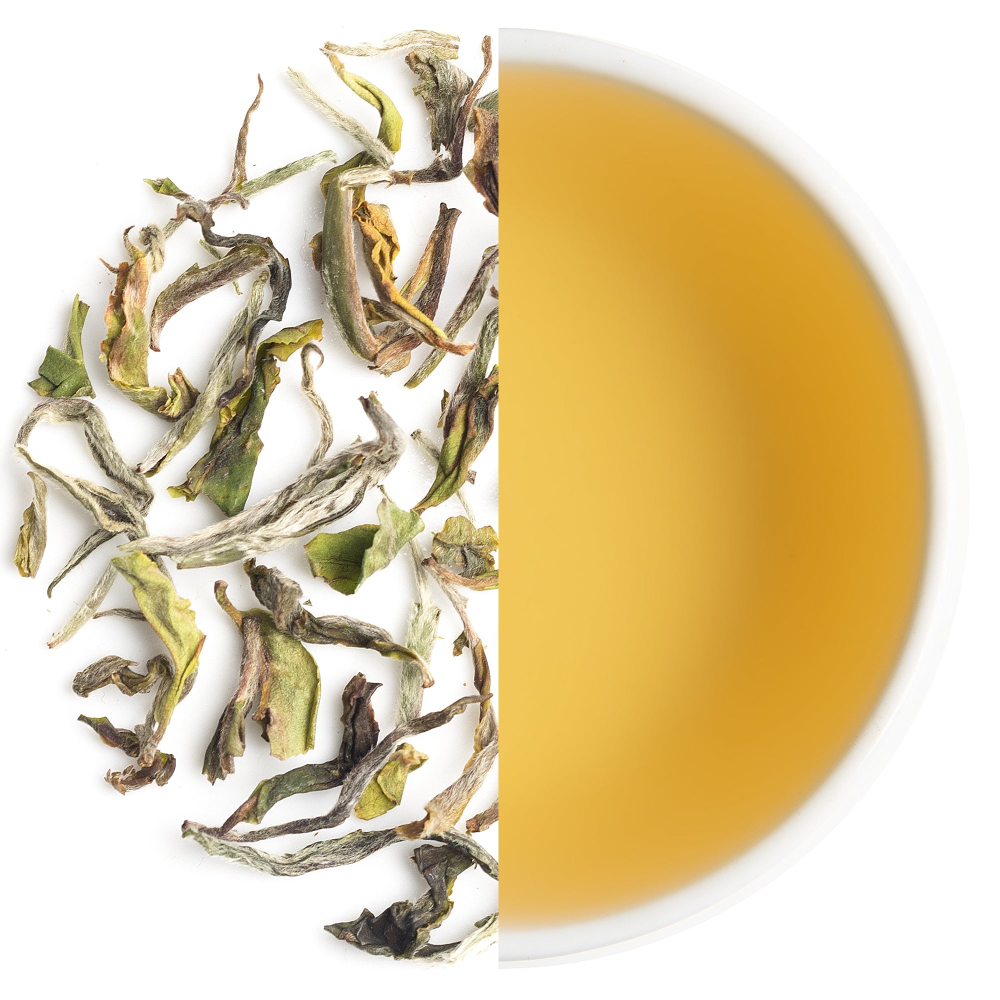 Loose leaves of Arya Diamond First Flush Darjeeling black tea 2025 with wiry dark green and golden tips