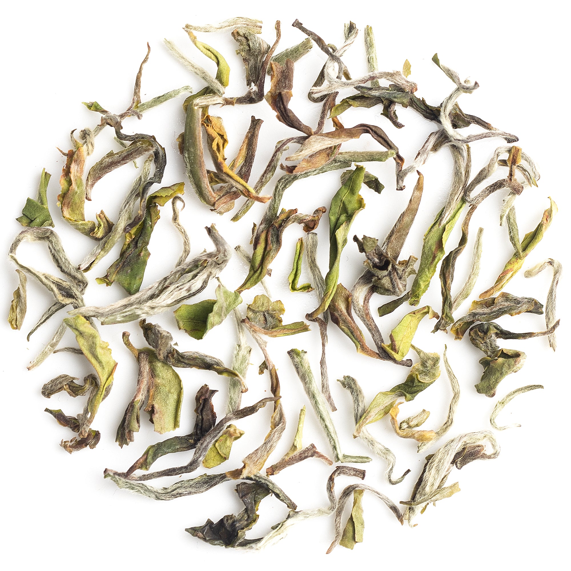 Infused liquid of Arya Diamond First Flush Darjeeling black tea 2025 presenting a clean golden‑yellow liquor