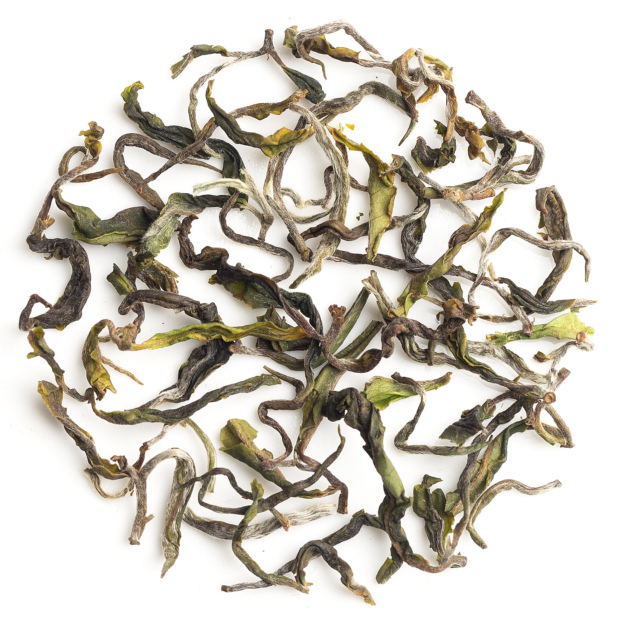 Elegant serving moment with Arya Spring First Flush Darjeeling black tea 2025 inviting in a serene tea‑time ritual.