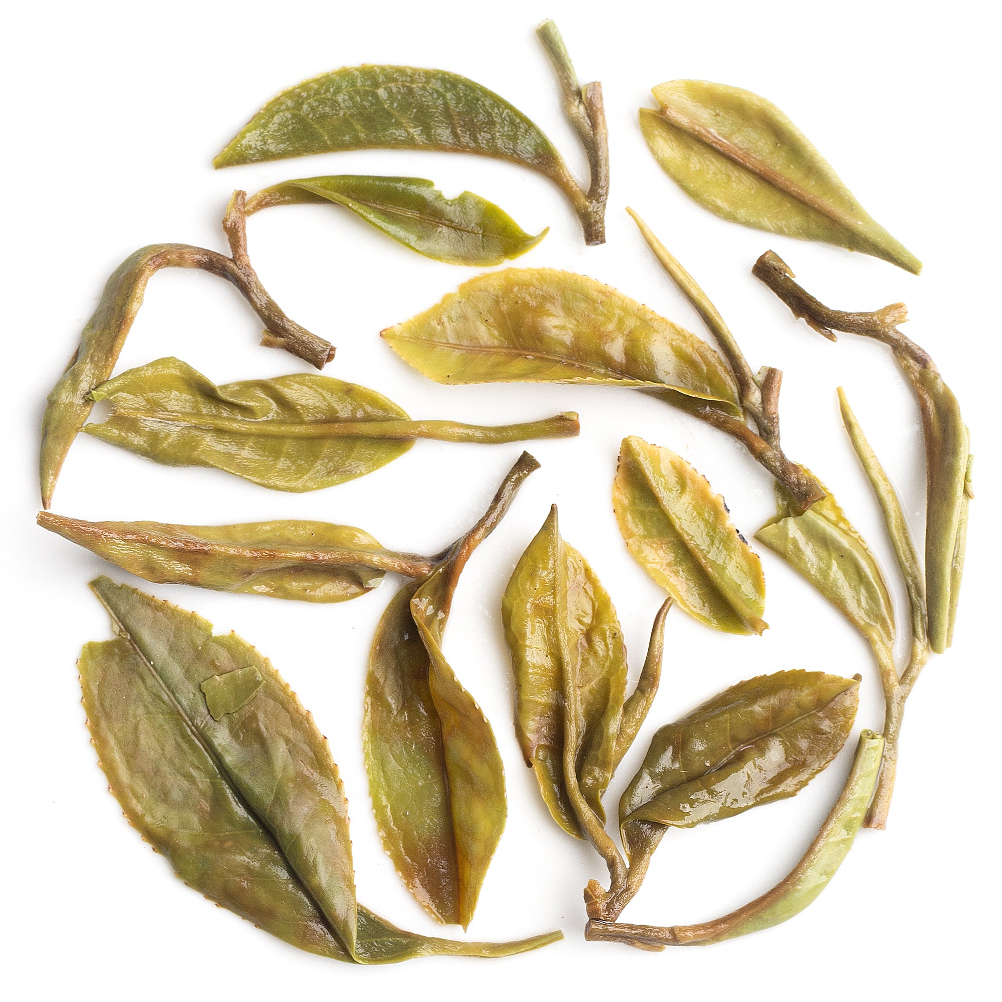 Loose full‑leaf spring harvest Darjeeling black tea from Arya estate 2025 with green and silvery tips ready to brew.