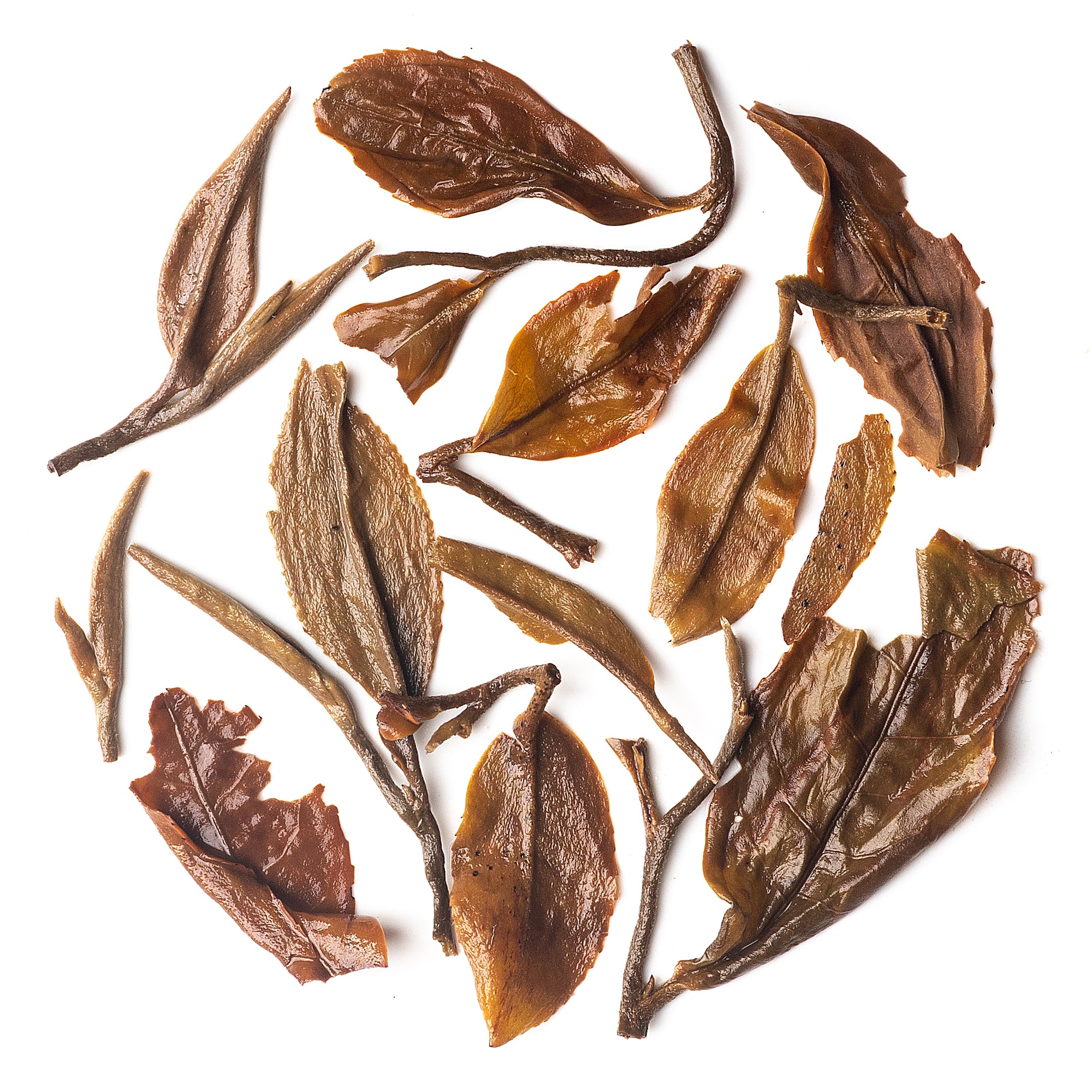 Castleton Moonlight tea with golden tips and aromatic complexity