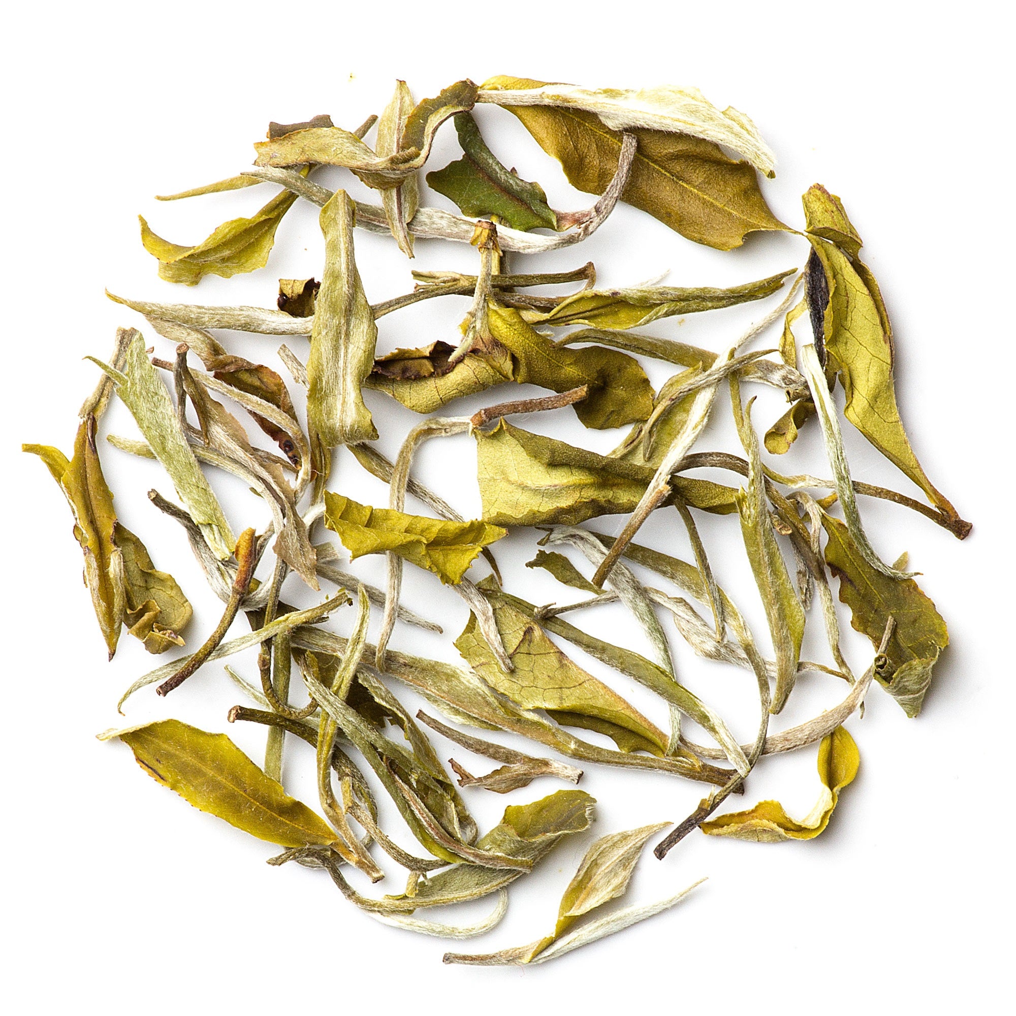 Handpicked Premium Darjeeling White Tea leaves featuring silvery buds and gentle aroma for a soothing tea experience.