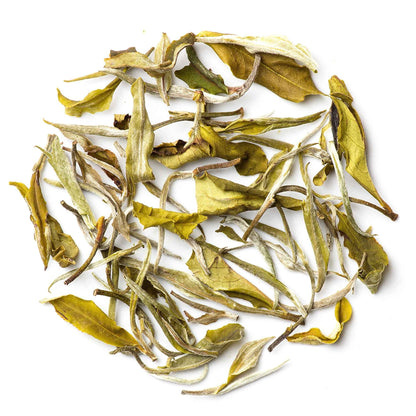 Premium Darjeeling White Tea - Mayukh