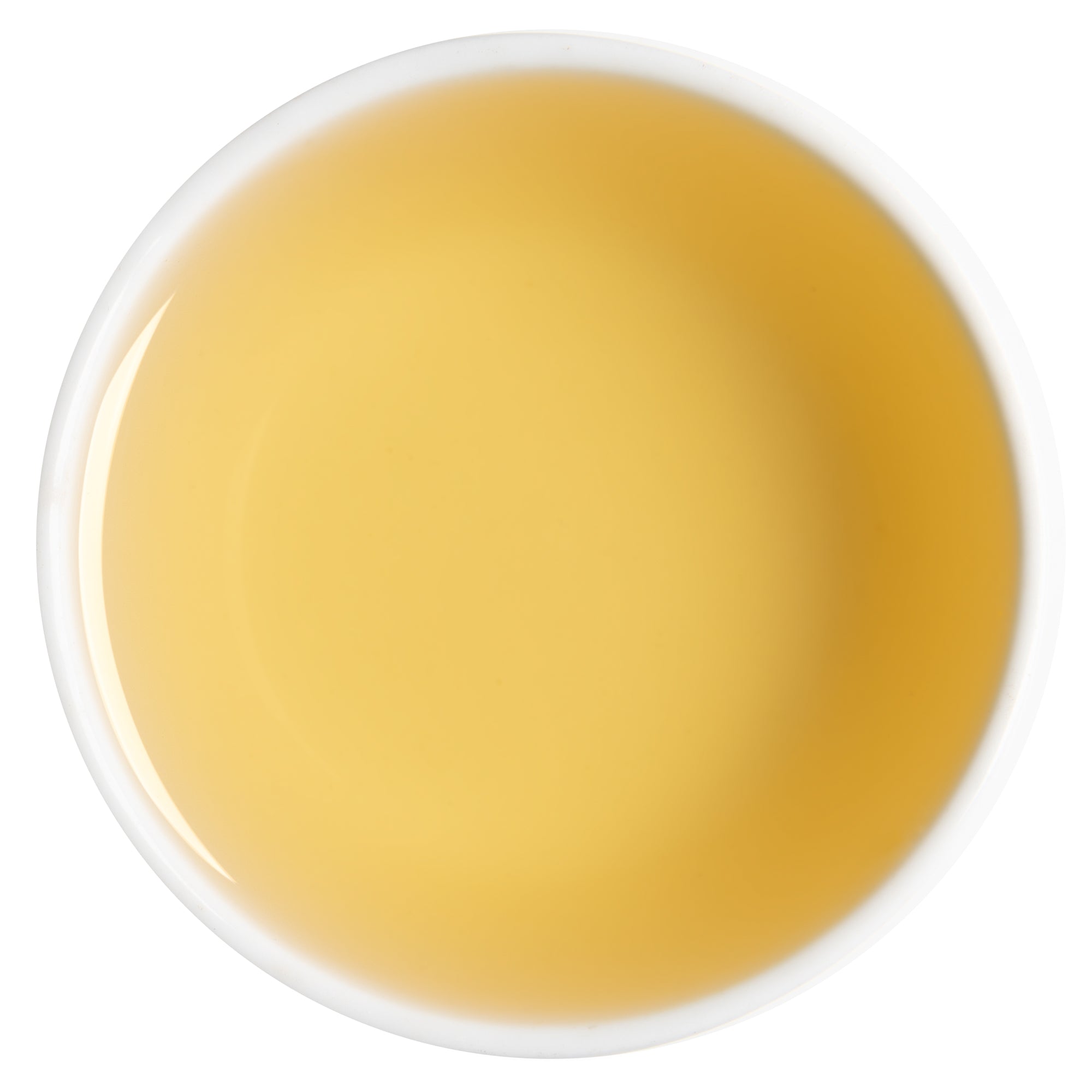 Giddapahar tea garden in Darjeeling, source of First Flush Darjeeling Black Tea 2025 leaves