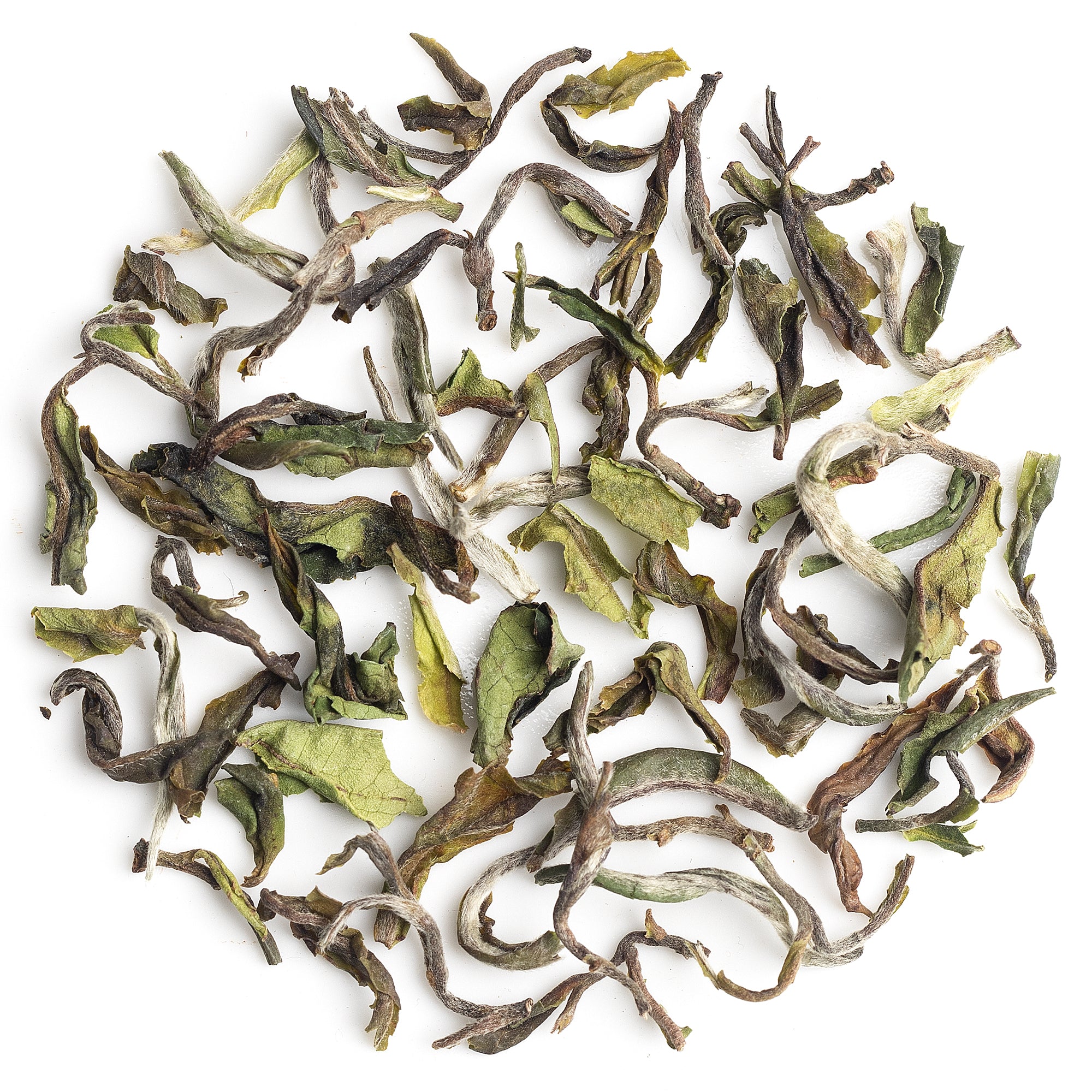 Freshly brewed Giddapahar First Flush Darjeeling Black Tea 2025 in a cup, highlighting rich amber color