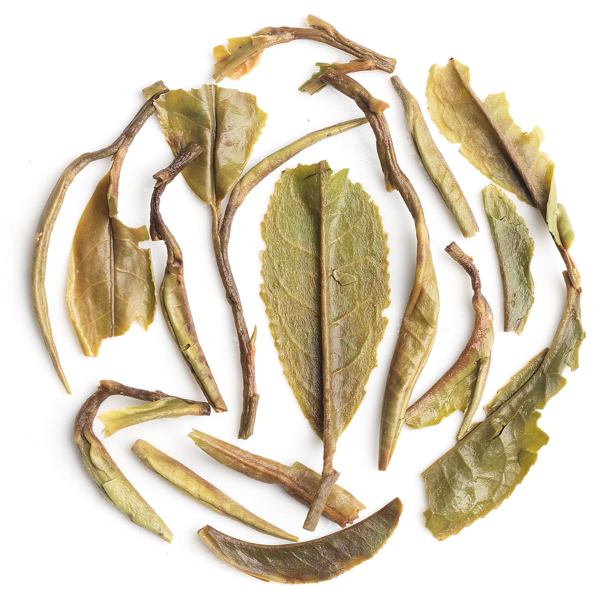 Pouring Giddapahar First Flush Darjeeling Black Tea 2025 into a cup, emphasizing clarity and golden hue