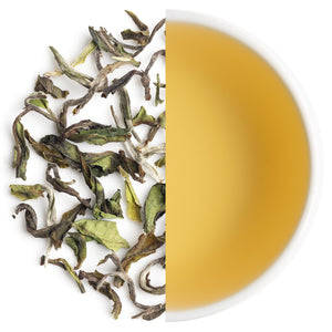 Giddapahar First Flush Darjeeling Black Tea 2025 in original packaging, premium hand-picked leaves