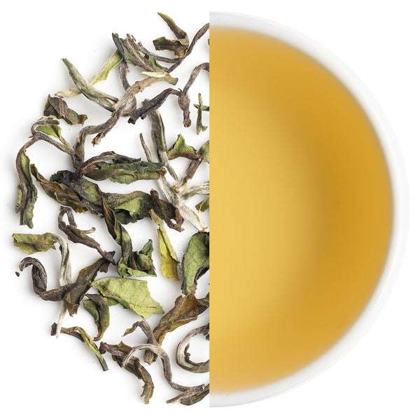 Giddapahar First Flush Darjeeling Black Tea 2025 in original packaging, premium hand-picked leaves