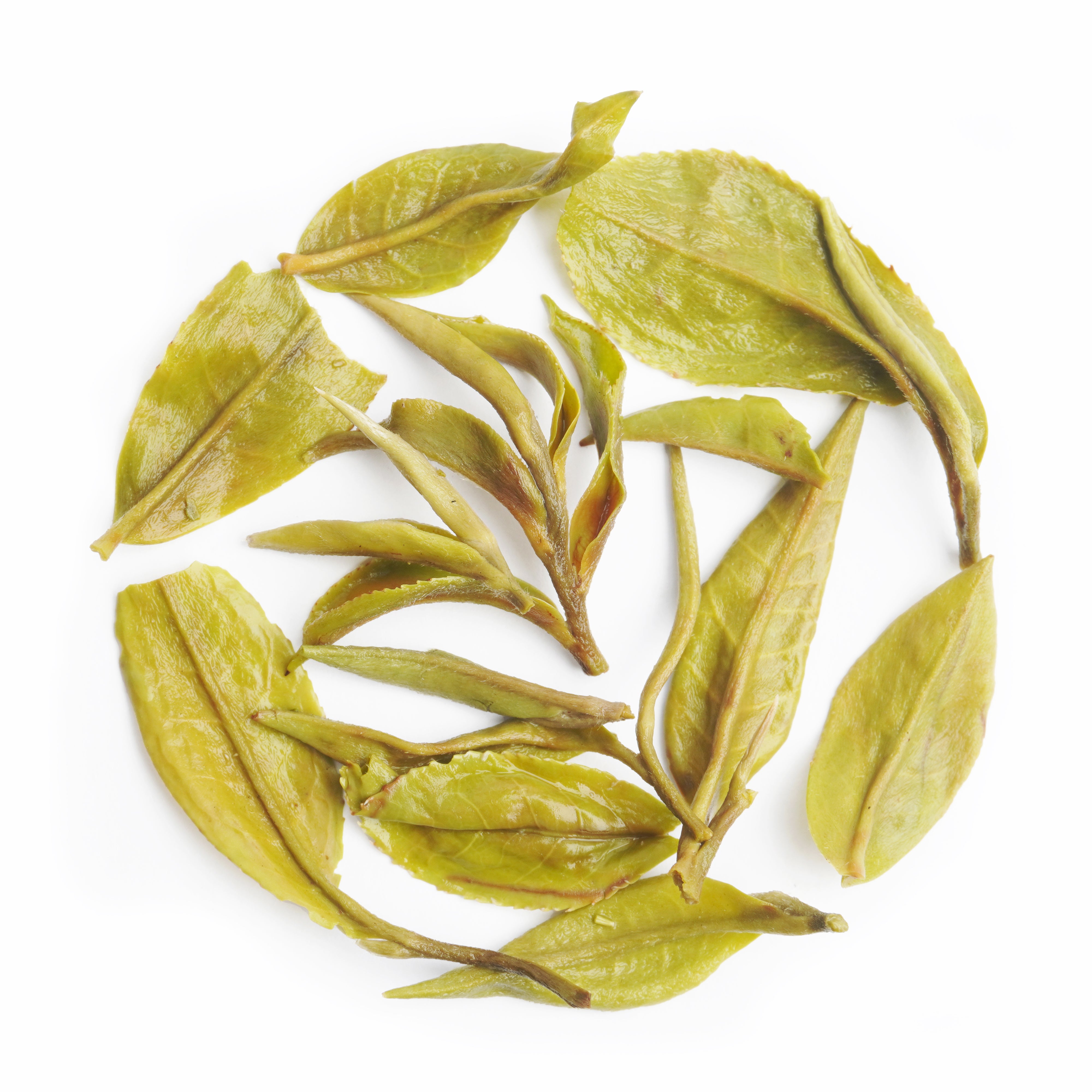 Glenburn Estate Darjeeling Tea with smooth, mature flavor from the late harvest season.
