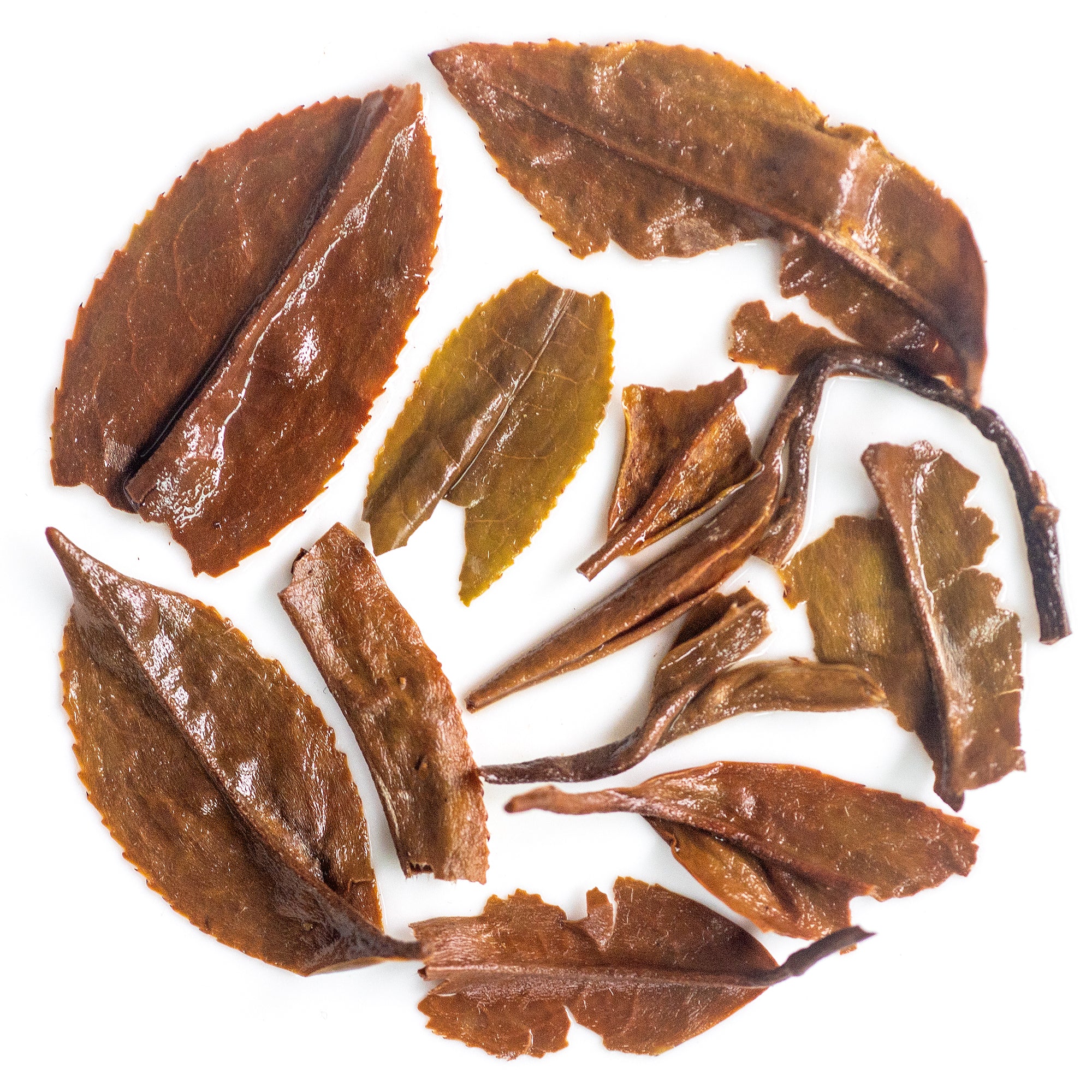 Gold tipped Arya Diamond black tea with umber brown wiry leaves