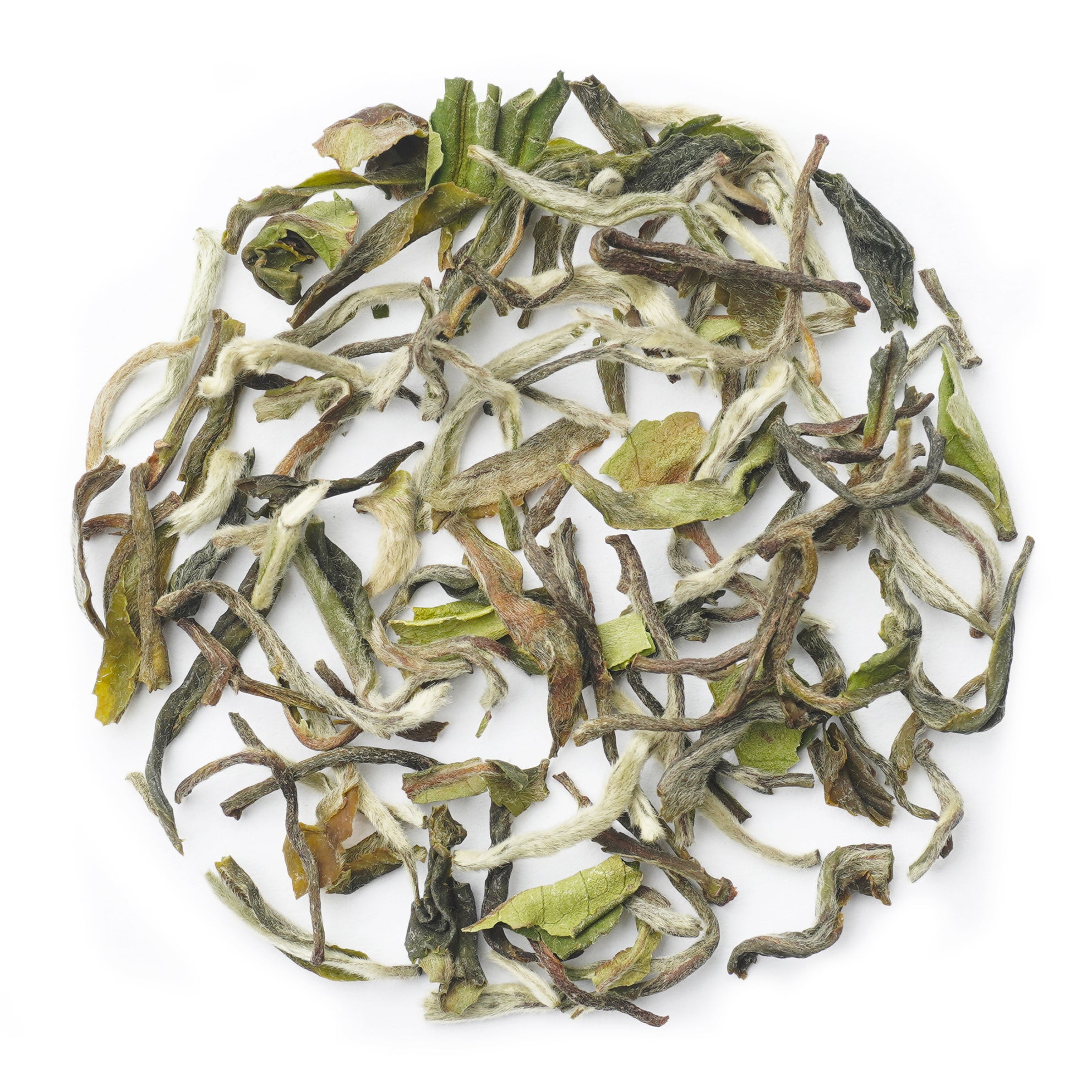 Premium Lizahill Moonshine First Flush Darjeeling Tea with delicate floral aroma and brisk flavor.