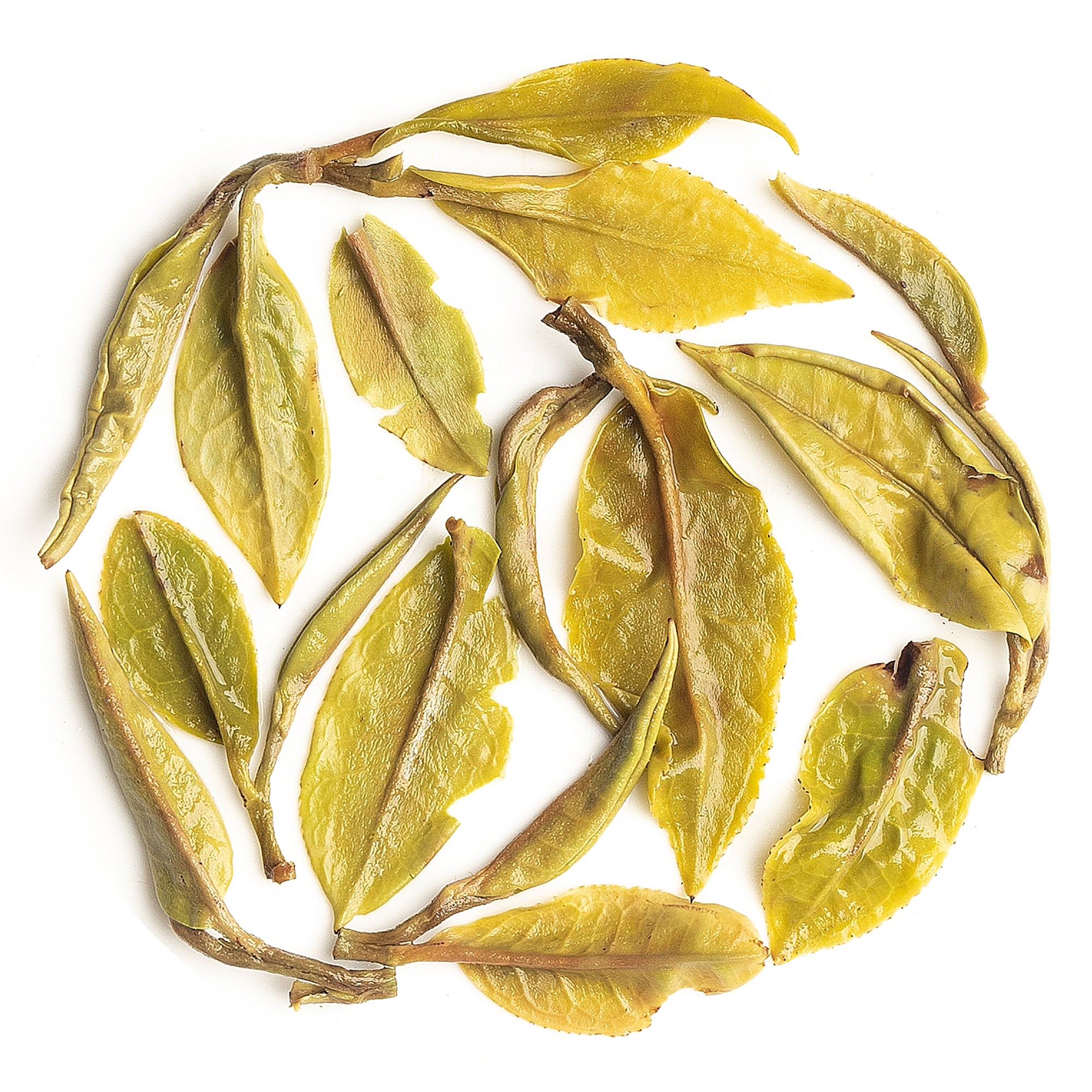 Mim tea estate in Darjeeling, source of premium First Flush Black Tea 2025 leaves