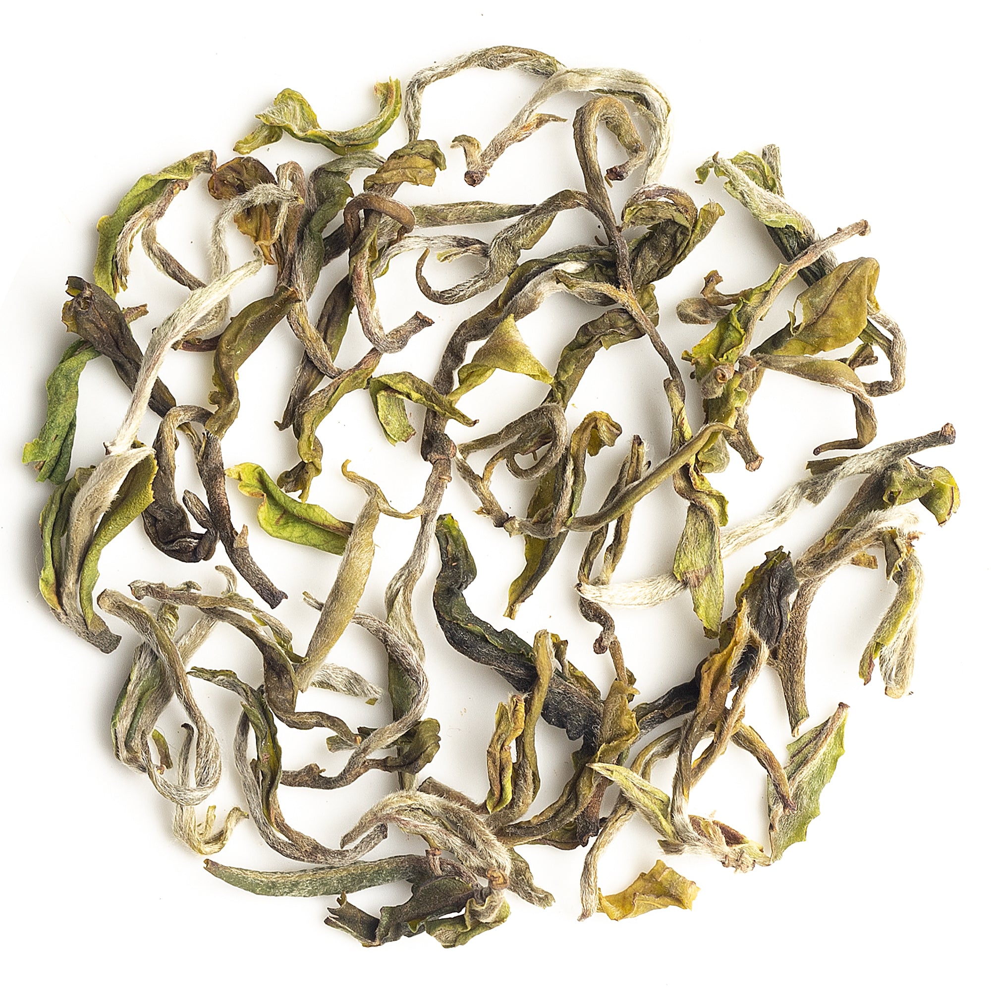 Pouring Mim First Flush Darjeeling Black Tea 2025 into a cup, highlighting clarity and golden hue