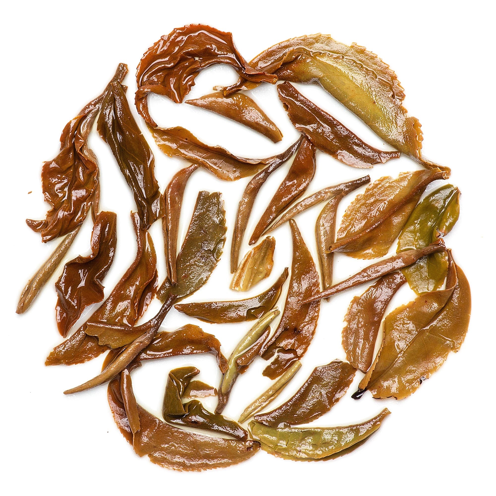 Organic Premium Darjeeling Oolong Tea semi-oxidized leaves with a honeyed fragrance and gentle complexity.