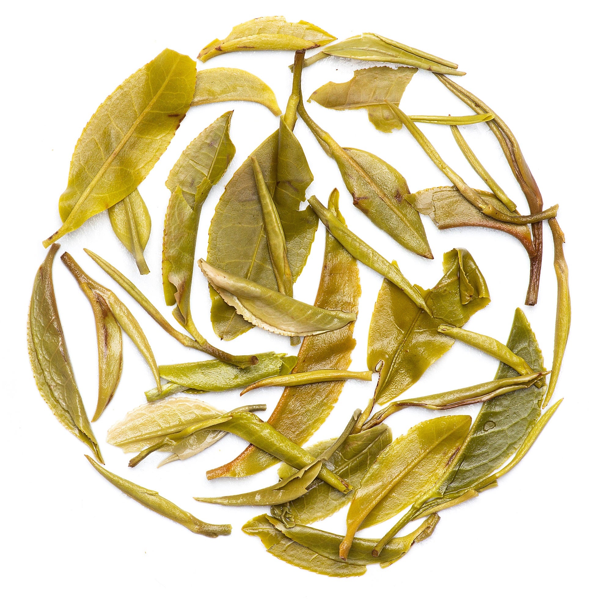 Organic Premium Darjeeling White Tea long leaves prized for purity, mild sweetness, and antioxidant-rich character.