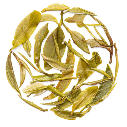 Premium Darjeeling White Tea - Mayukh