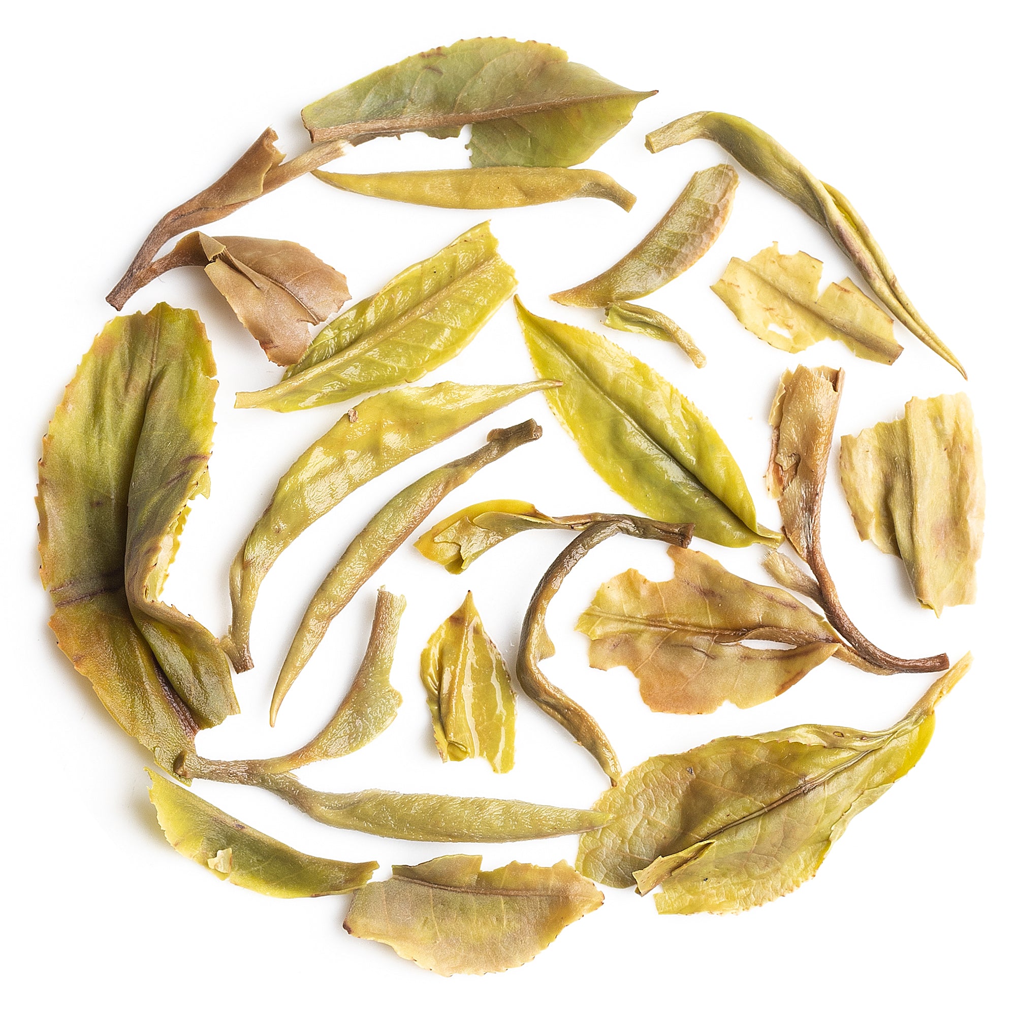 poobong First Flush Darjeeling Black Tea 2025 eco-friendly packaging on display for premium gifting.