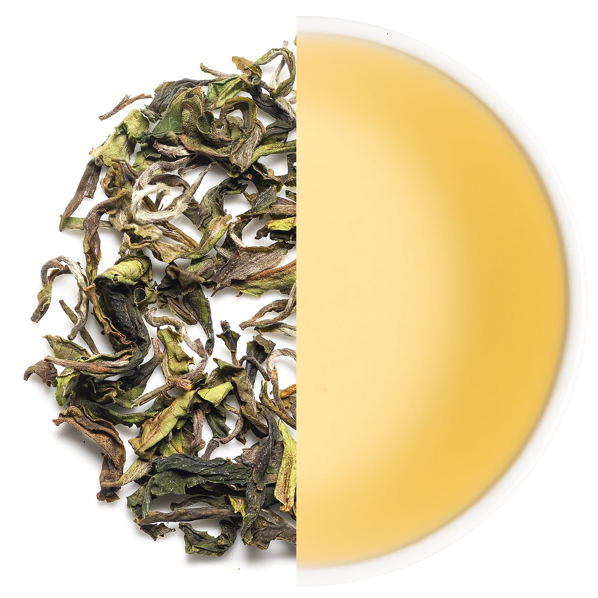 ユキ　ARYA TEA Saga no Yuki | Green tea | Marukyu Koyamaen Online Shop