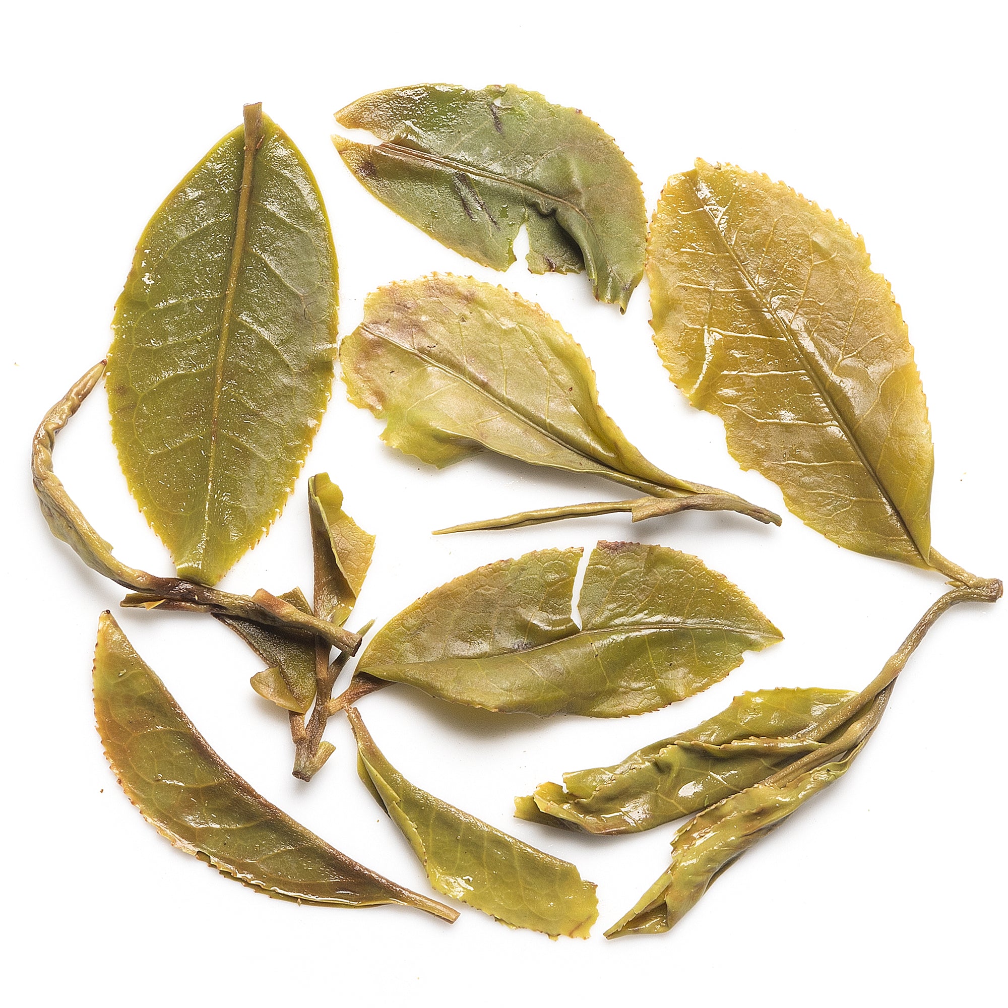 Poobong First Flush Darjeeling Black Tea 2026