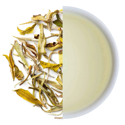 Premium Darjeeling White Tea - Mayukh