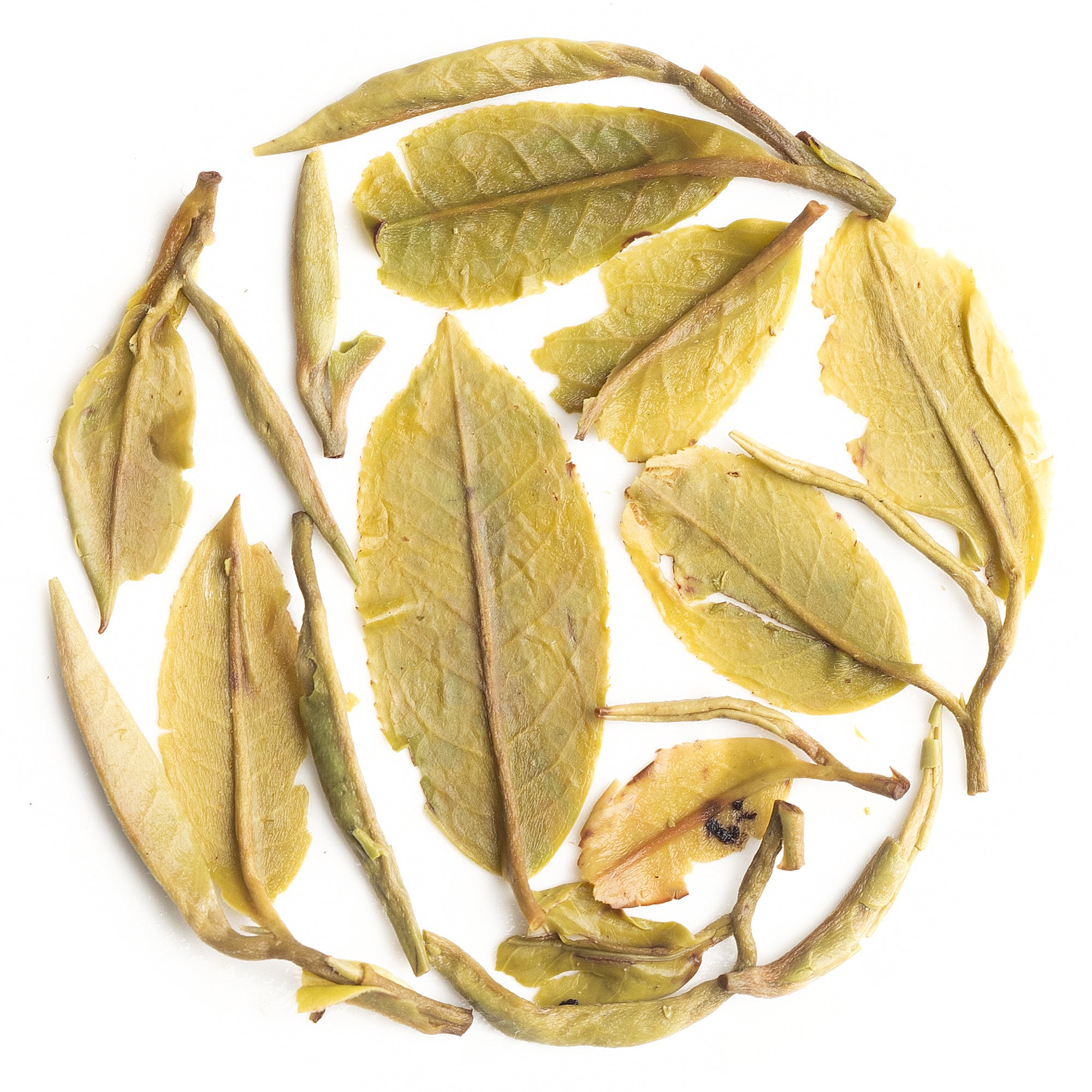 Single-serve sachet of Samabeong Spring Blossom First Flush Darjeeling Black Tea 2025, perfect for gifting