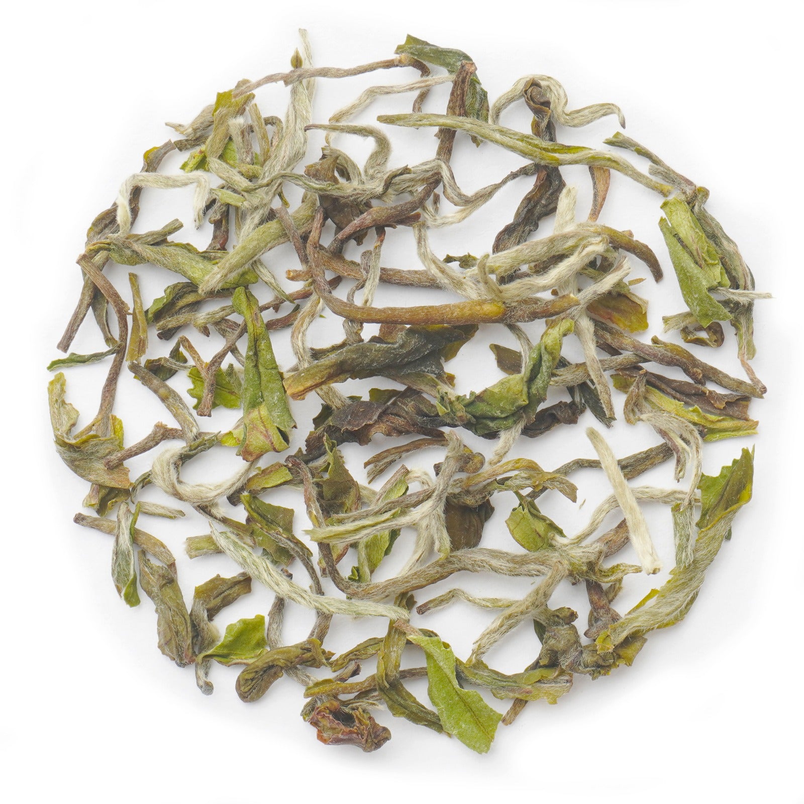 Premium Samabeong Estate First Flush Darjeeling Tea with delicate floral and citrus notes.