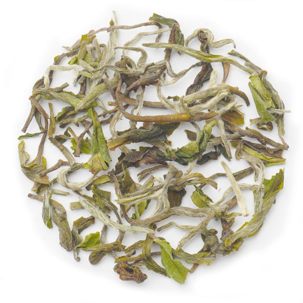 Premium Samabeong Estate First Flush Darjeeling Tea with delicate floral and citrus notes.