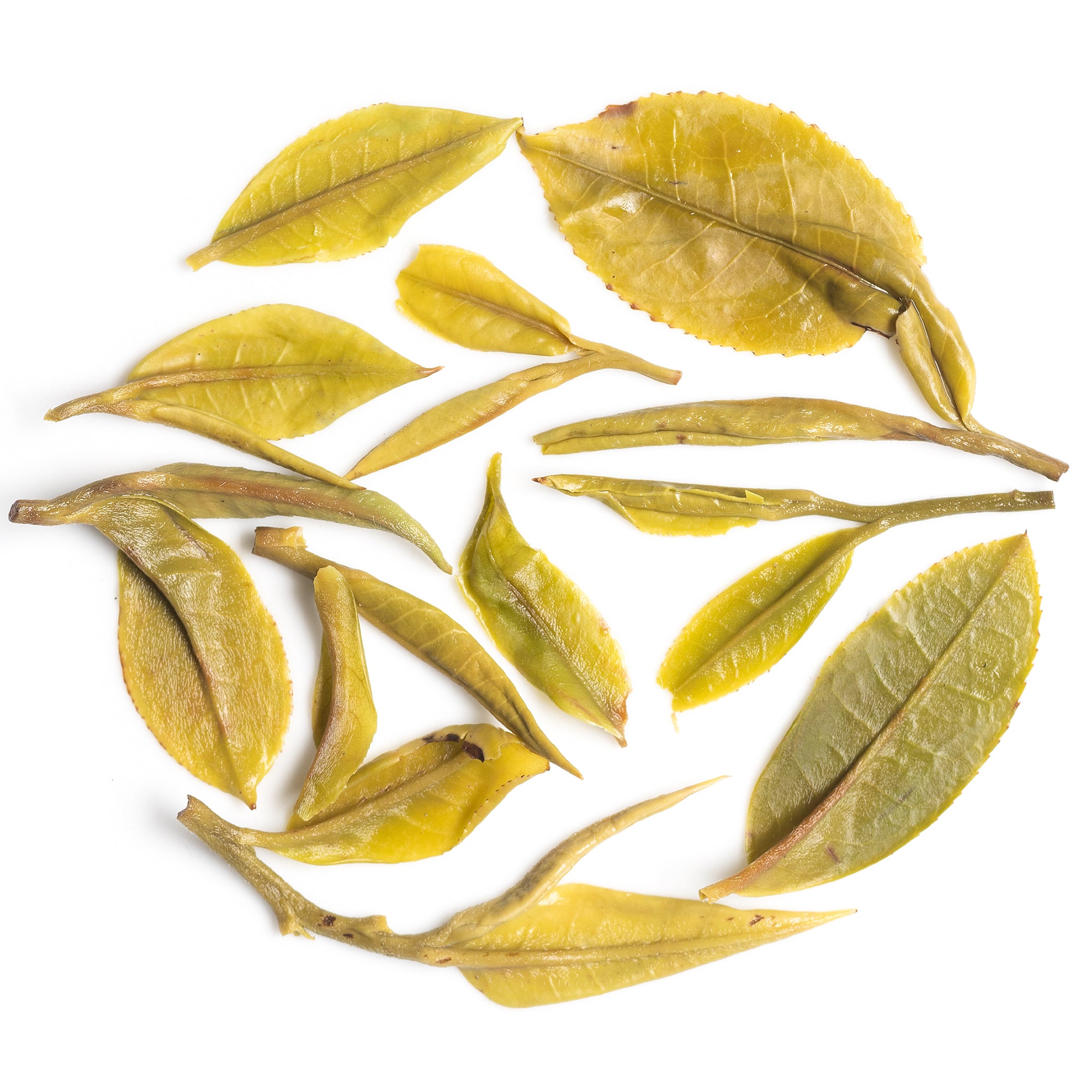 Turzum First Flush Darjeeling Black Tea 2026