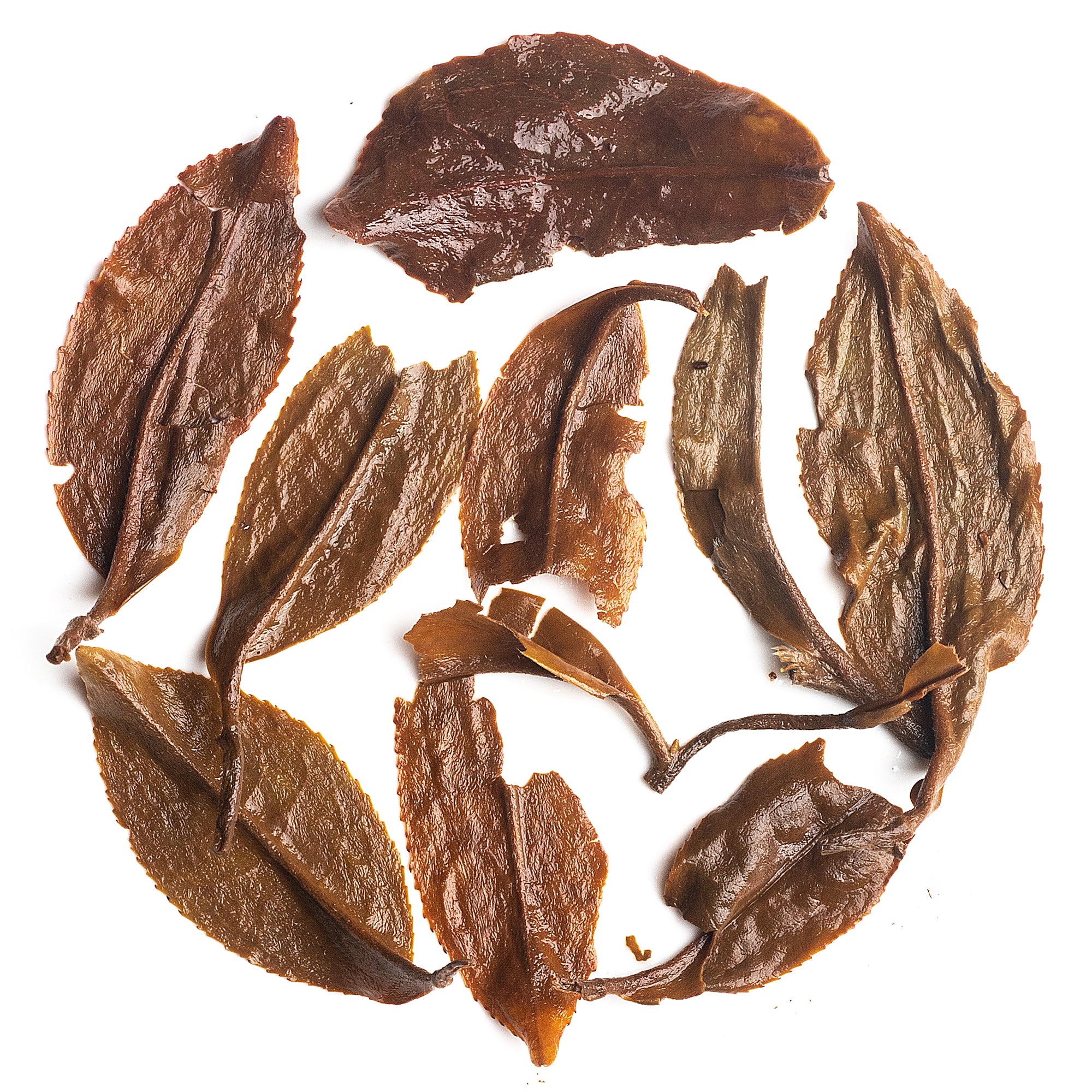 Wiry leaf Arya Ruby Darjeeling tea with golden pubescence