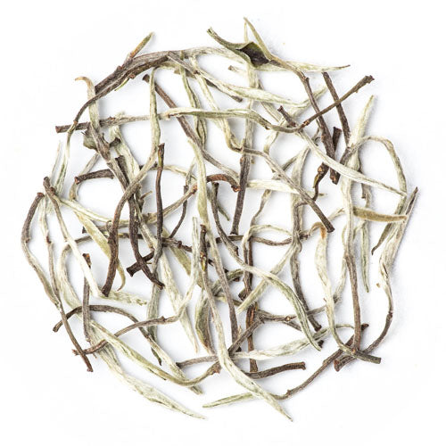 Loose leaf Darjeeling Silver Needle white tea with fine downy buds