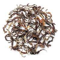 Glenburn Oolong Autumn Flush Tea 2024 - Mayukh