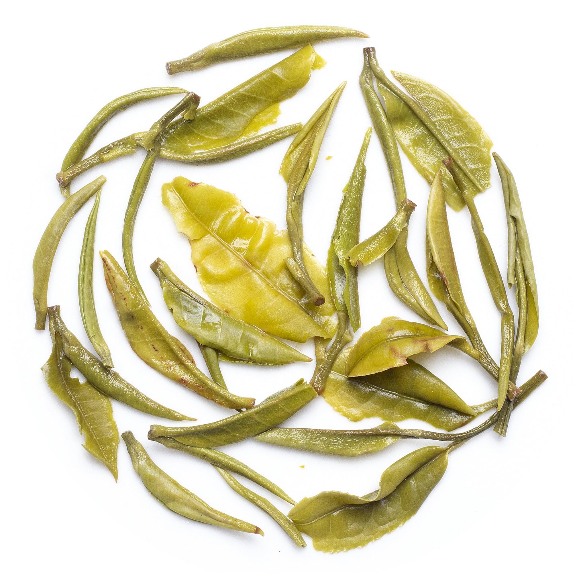 Long leaf first flush Darjeeling white tea with subtle sweet aroma