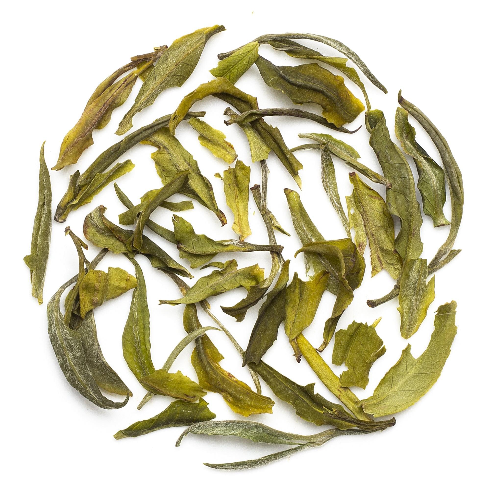 Organic Darjeeling white tea from Arya Tea Estate AV2 cultivar