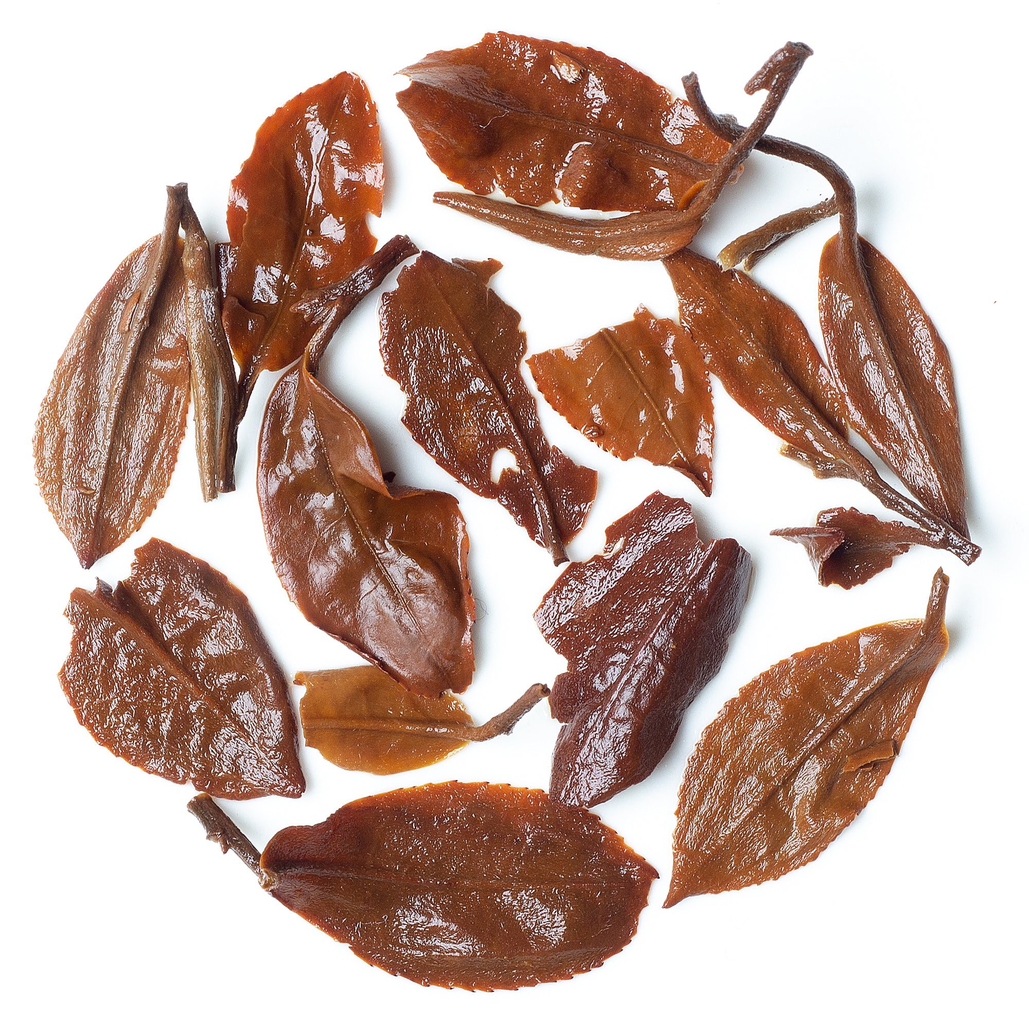 Premium gold tipped Darjeeling tea from Singbulli garden